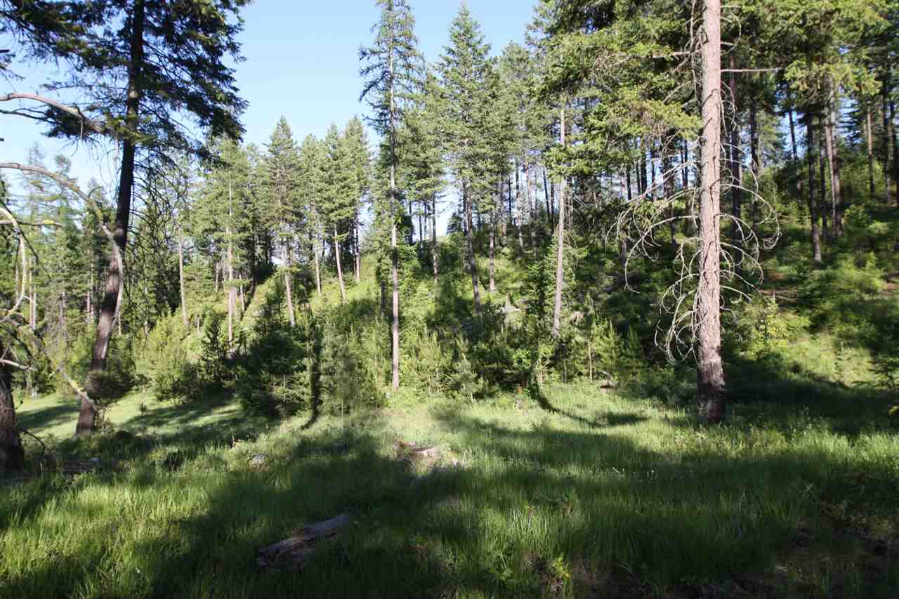 2103 Green Road Newport, WA 99156 - Photo 5 of 7