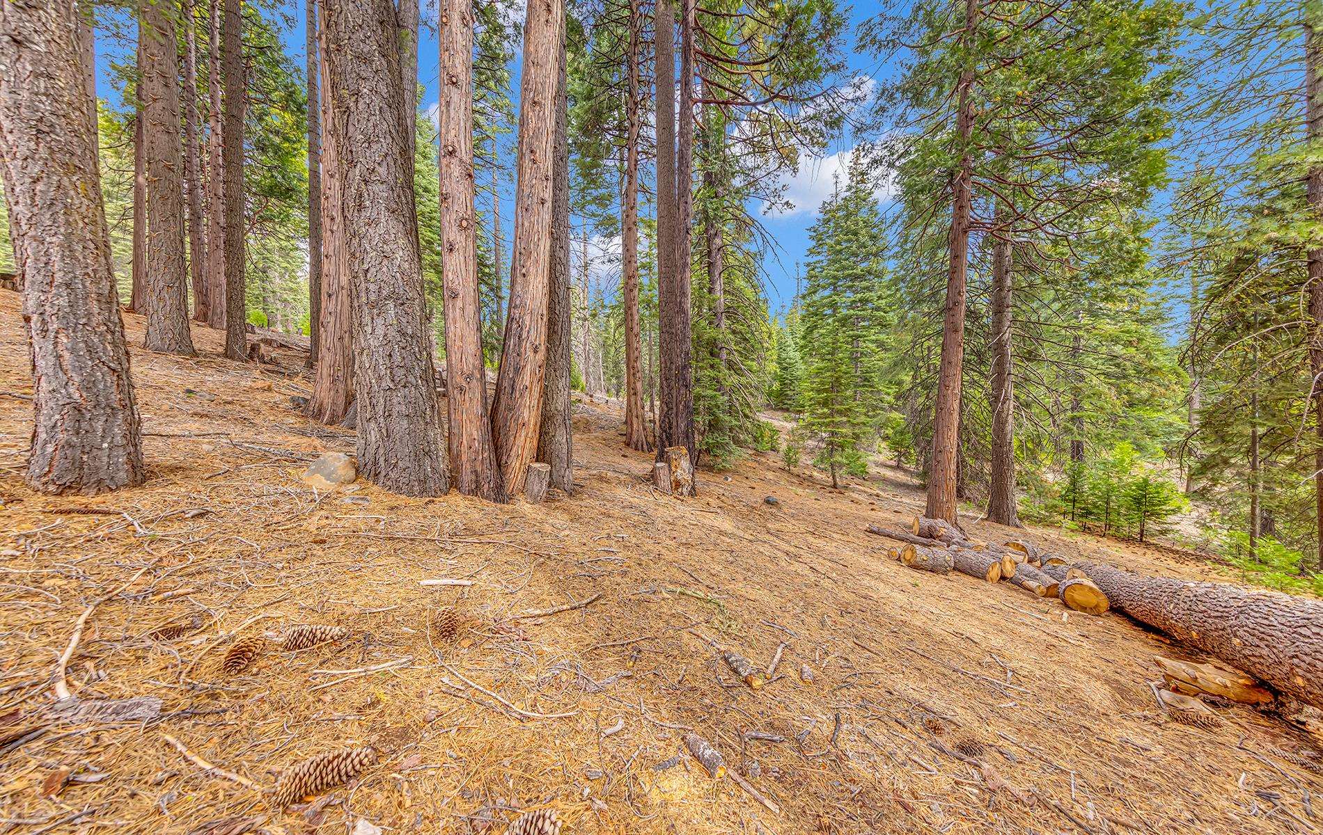608 East Burnt Cedar Road Lake Almanor, CA 96137 - Photo 34 of 36 a view of a backyard of the house