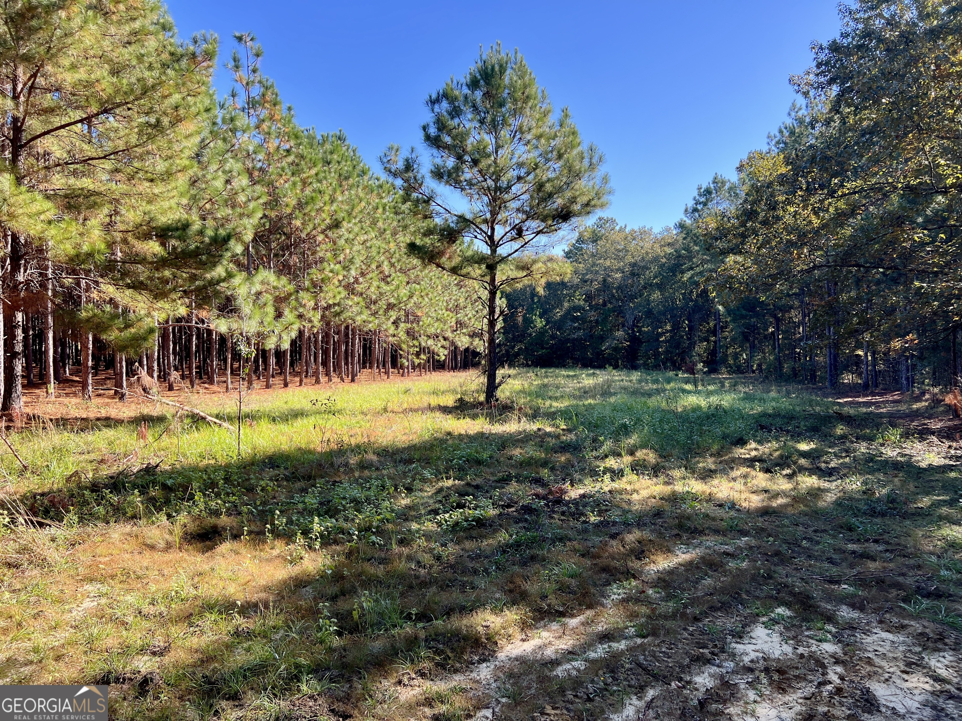 0 Barentine Road Rochelle, GA 31079 - Photo 11 of 46 a view of swimming pool with a yard