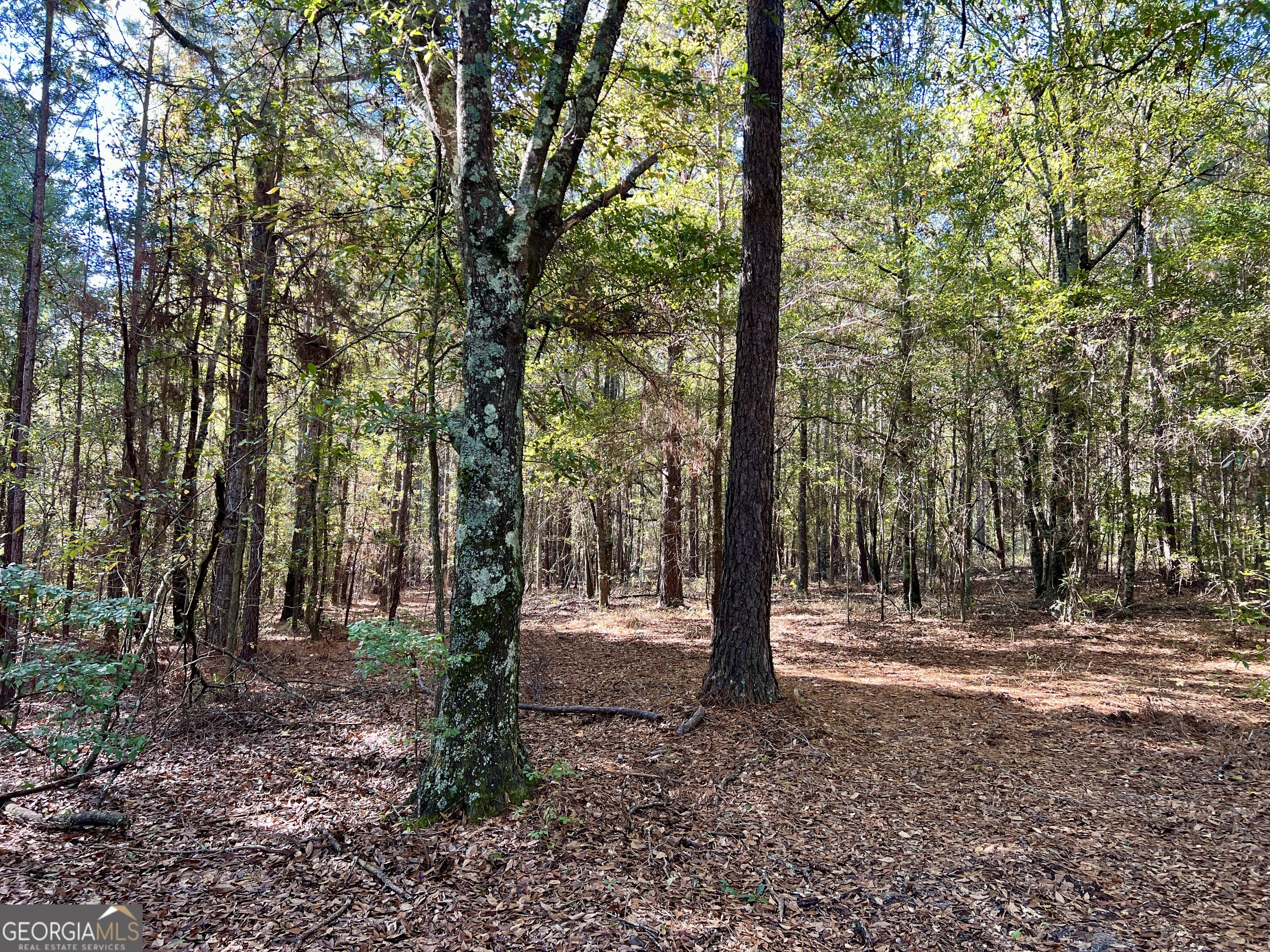 0 Barentine Road Rochelle, GA 31079 - Photo 12 of 46 a view of outdoor space with trees