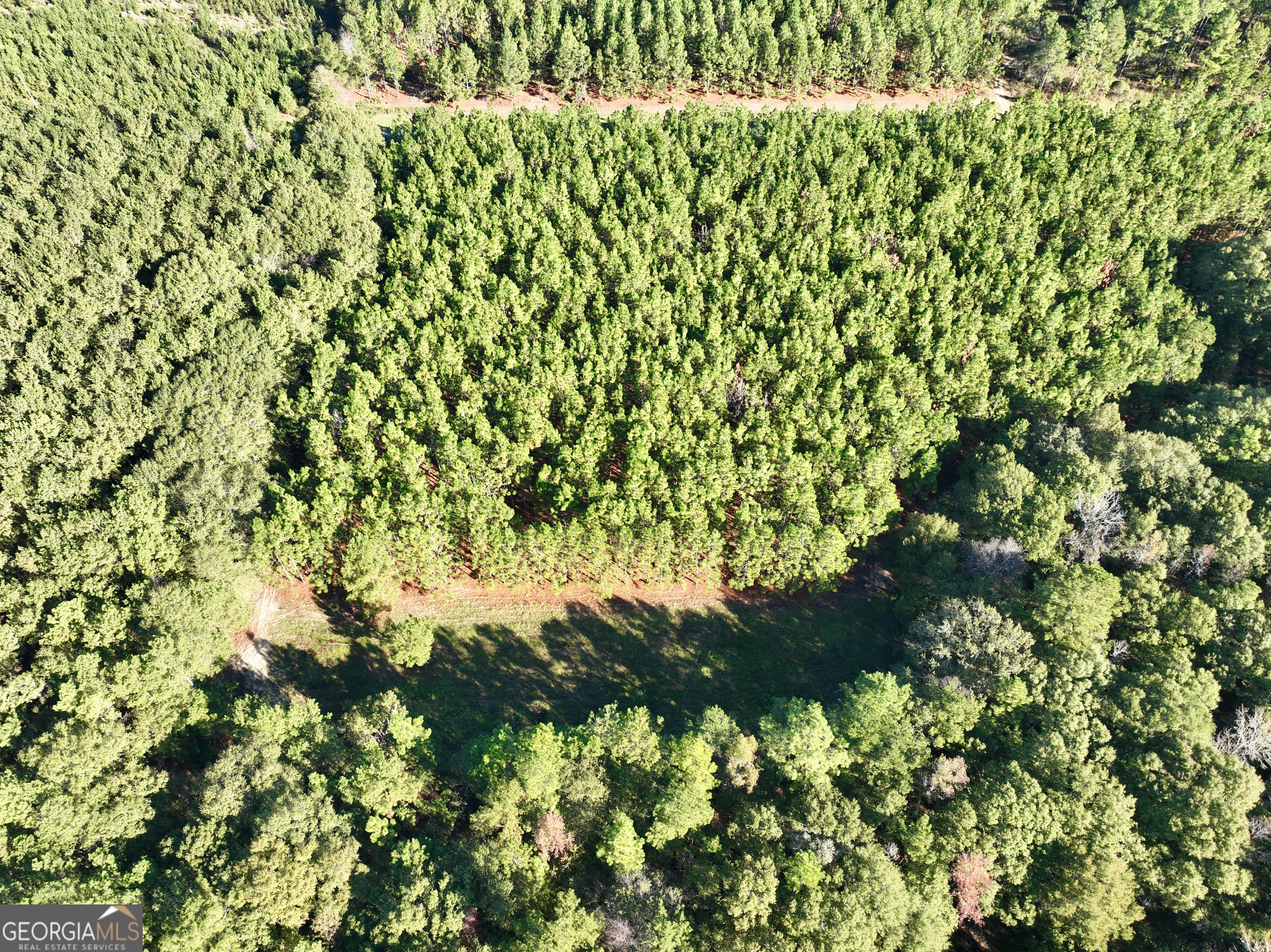 0 Barentine Road Rochelle, GA 31079 - Photo 13 of 46 a view of a tree