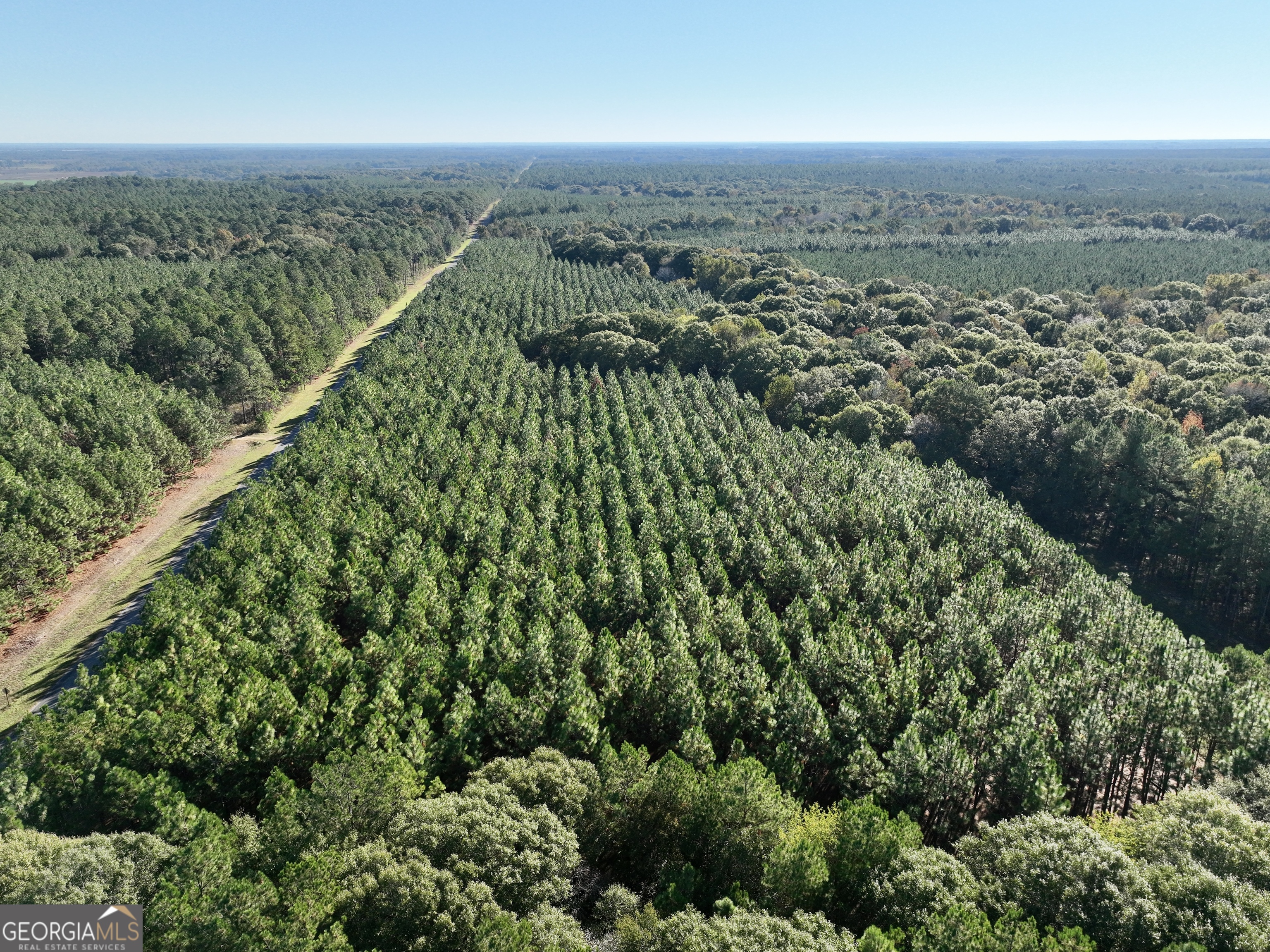 0 Barentine Road Rochelle, GA 31079 - Photo 14 of 46 an aerial view of residential houses with outdoor space and trees