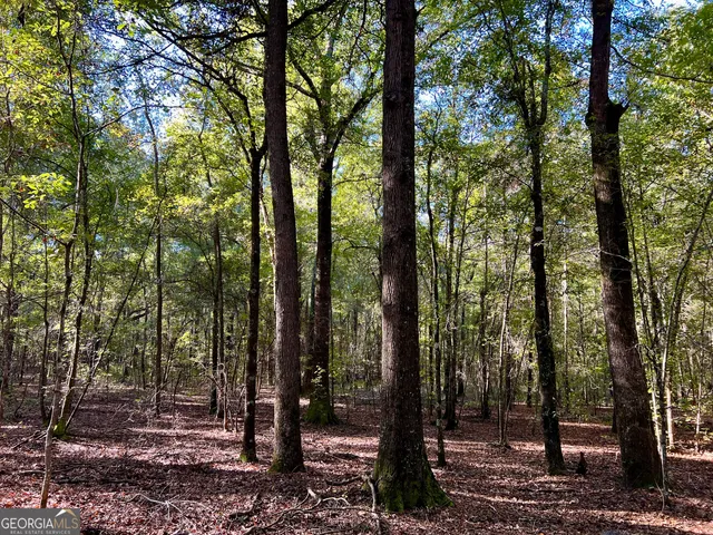 a view of outdoor space and green space