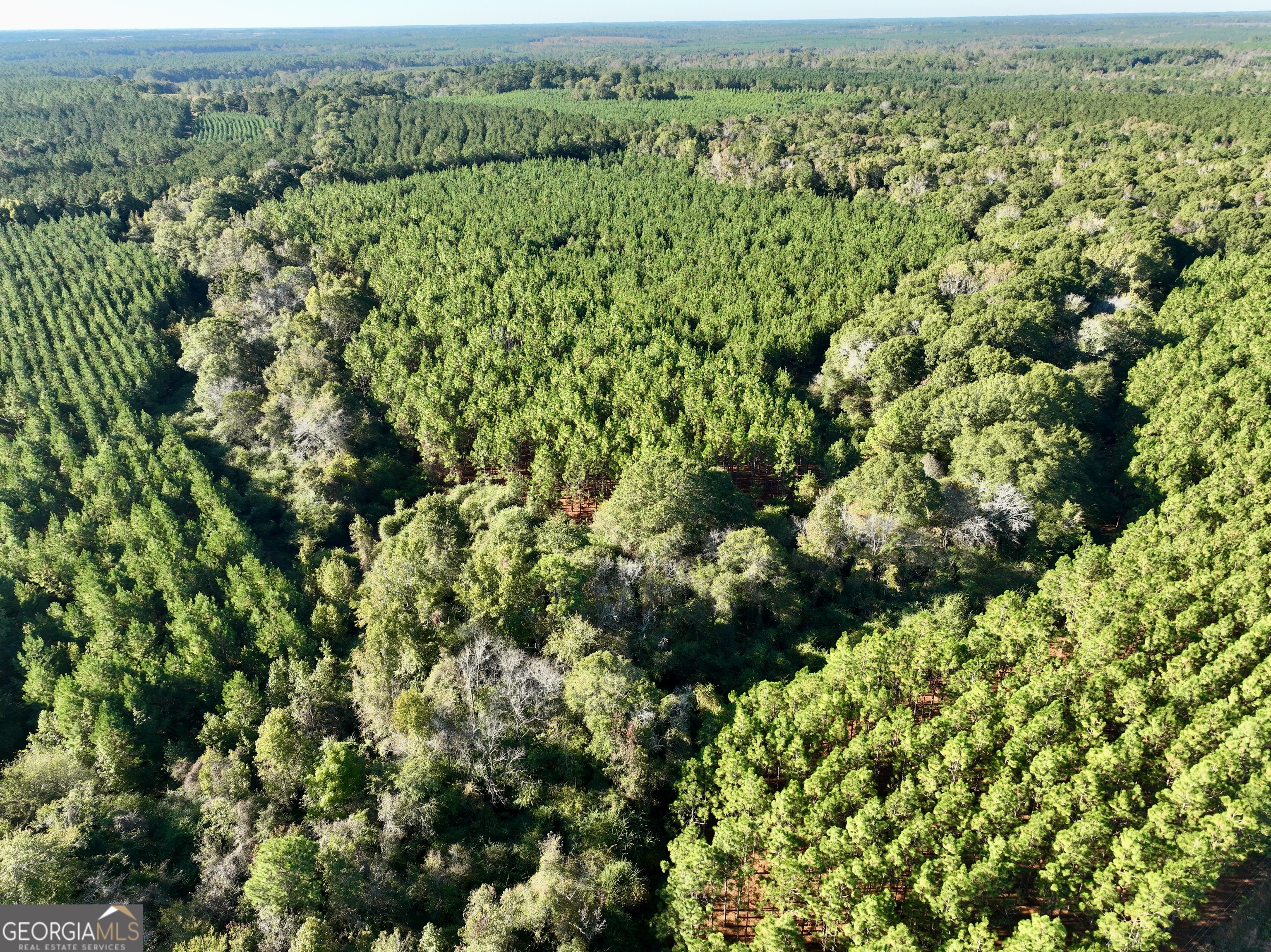 0 Barentine Road Rochelle, GA 31079 - Photo 18 of 46 an aerial view of a houses with a yard