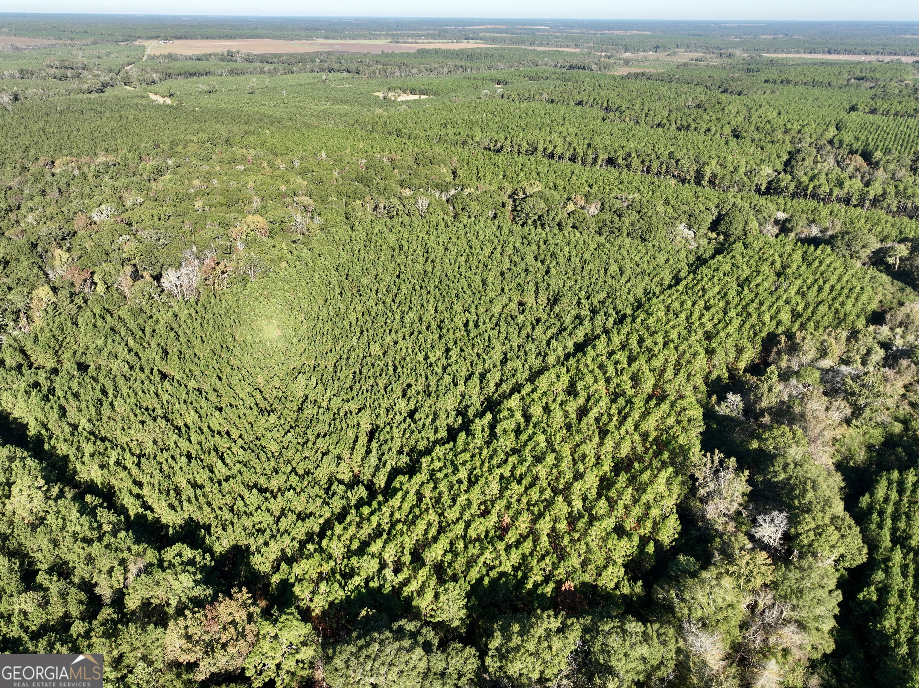 0 Barentine Road Rochelle, GA 31079 - Photo 19 of 46 a view of a lush green field