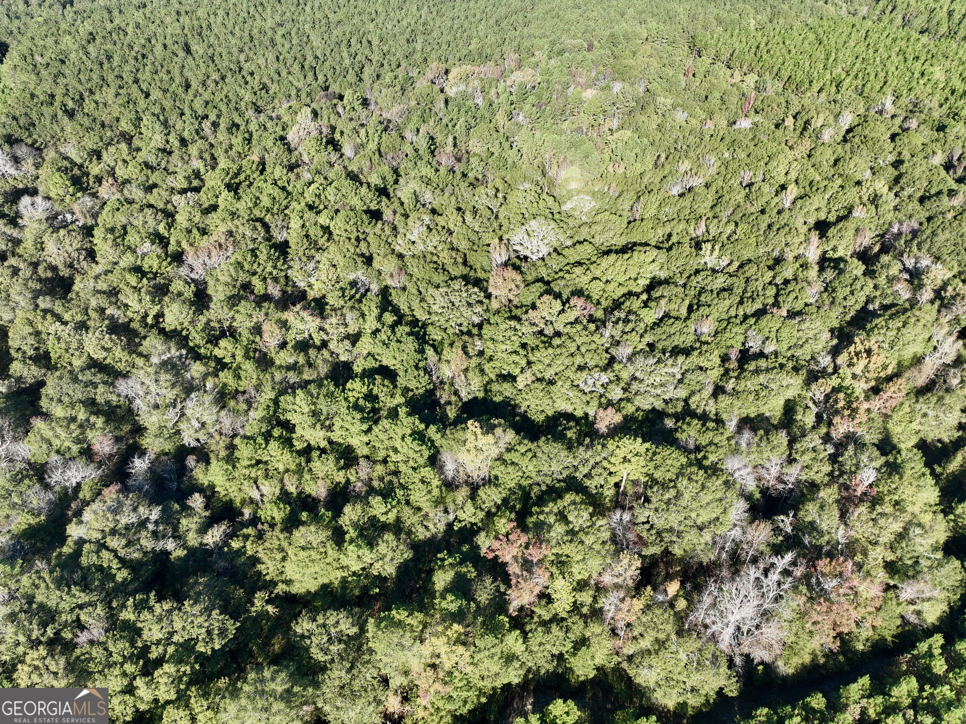 0 Barentine Road Rochelle, GA 31079 - Photo 20 of 46 unknown