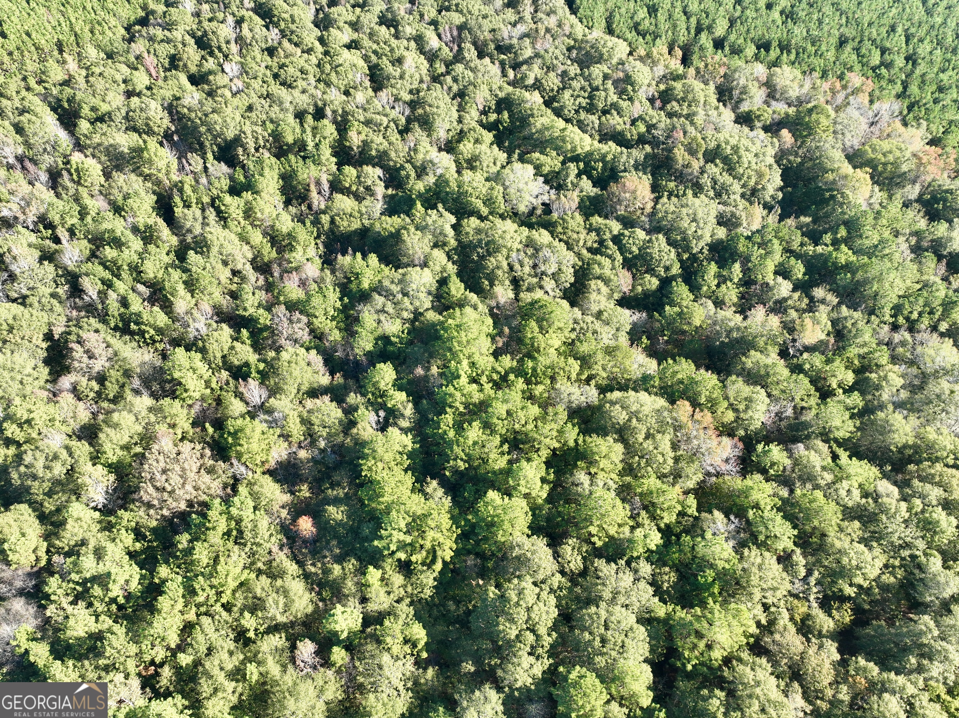0 Barentine Road Rochelle, GA 31079 - Photo 22 of 46 an outdoor view of a yard