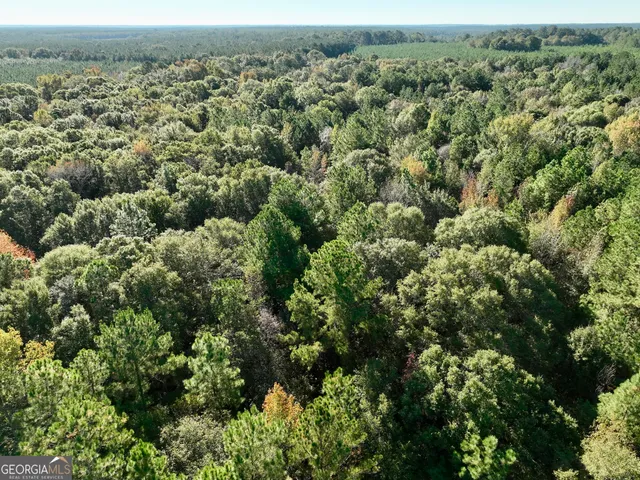 an aerial view of a houses with a yard