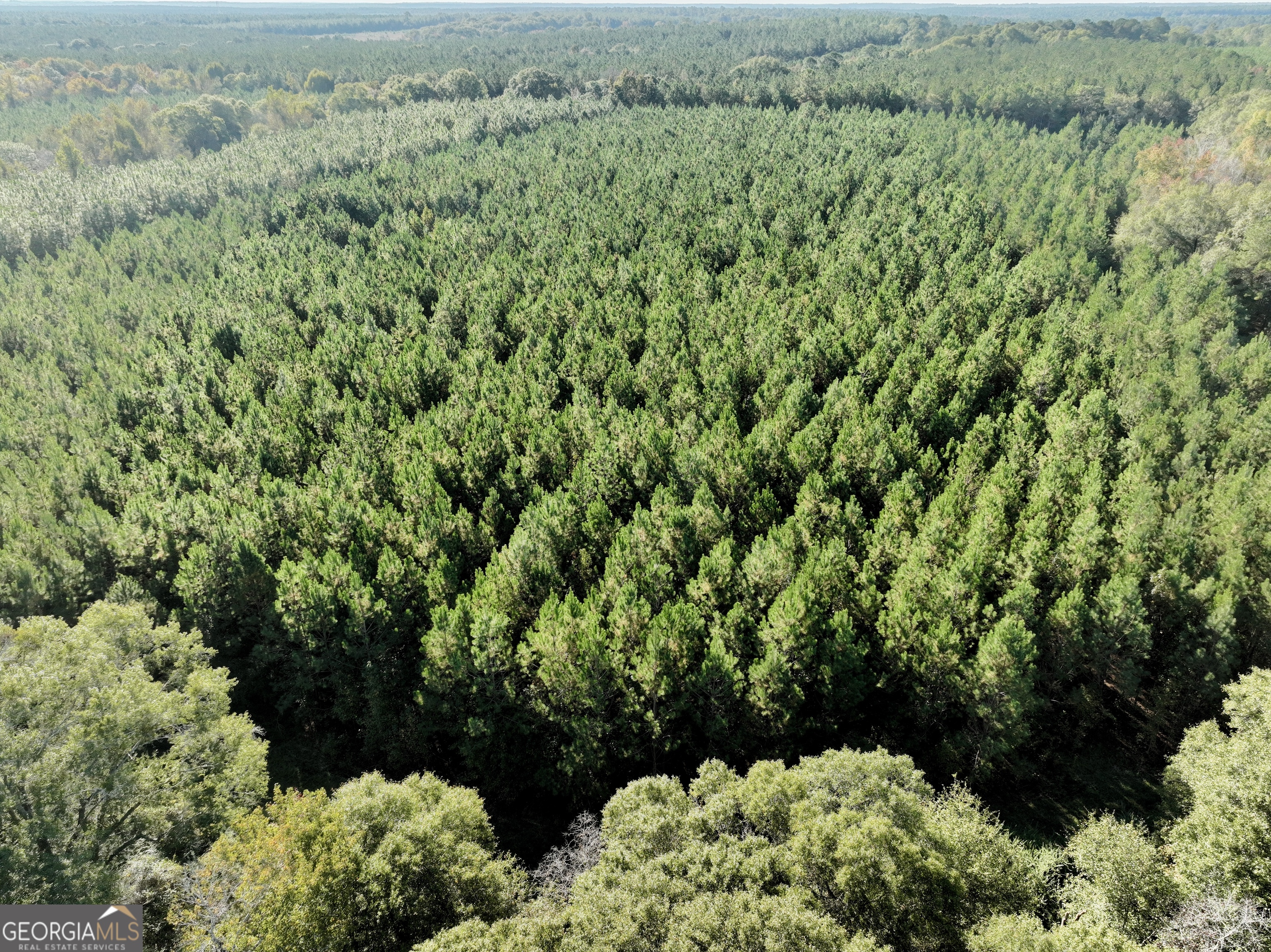 0 Barentine Road Rochelle, GA 31079 - Photo 24 of 46 a view of a garden