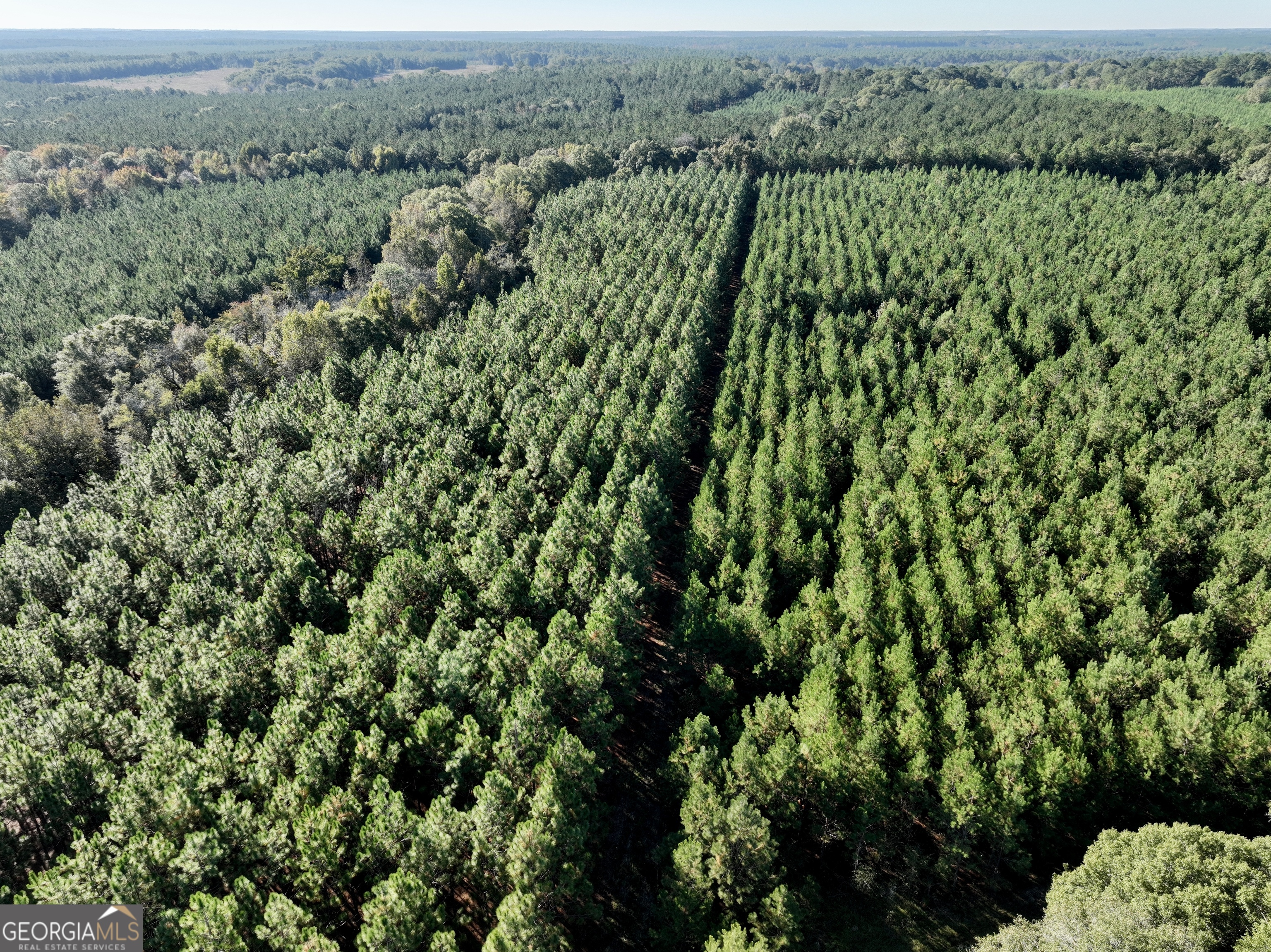 0 Barentine Road Rochelle, GA 31079 - Photo 26 of 46 an aerial view of a house with a lush green forest