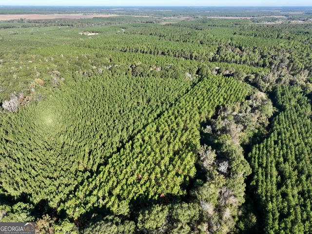 a view of a lush green field