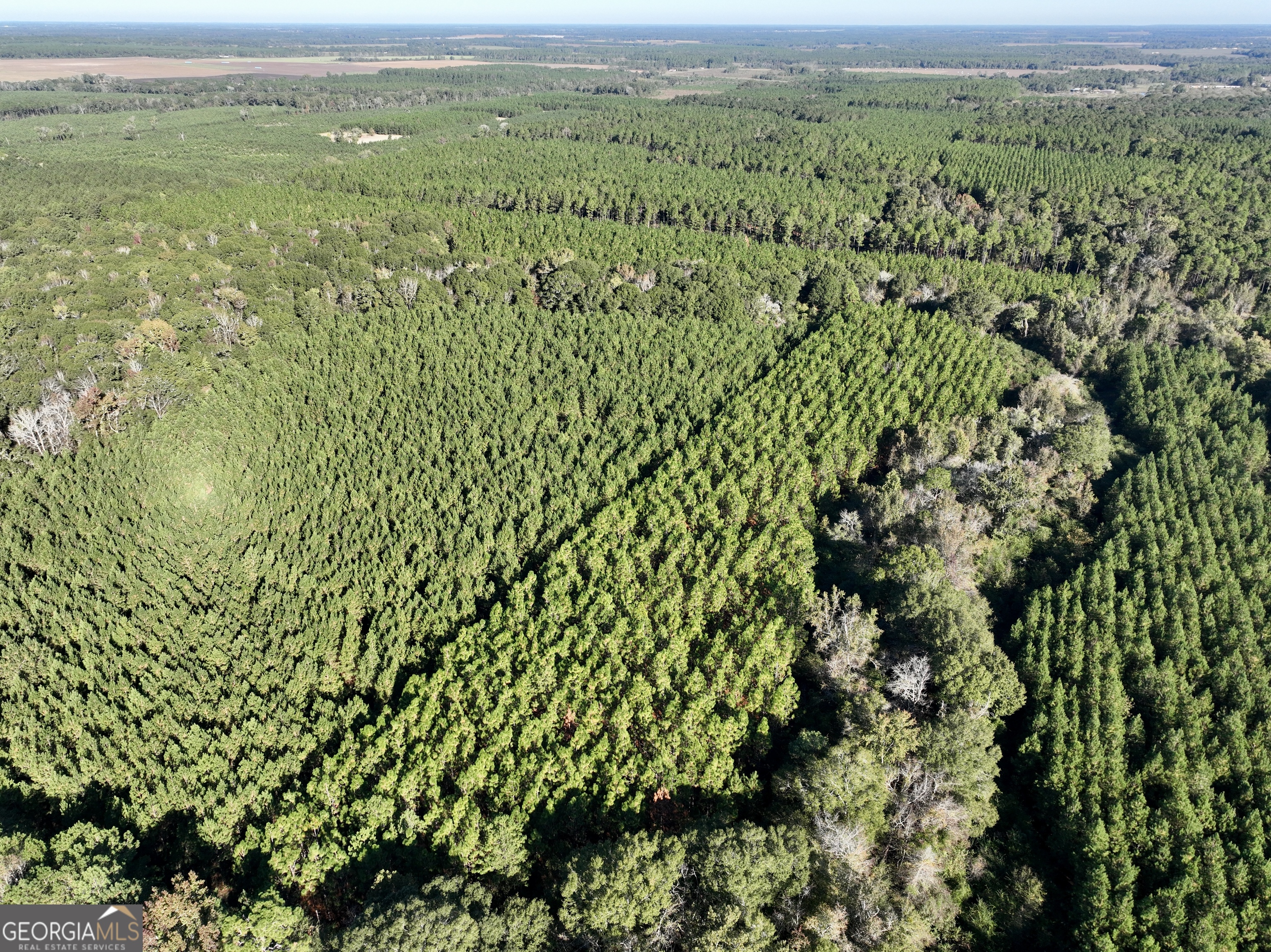 0 Barentine Road Rochelle, GA 31079 - Photo 3 of 46 a view of a lush green field