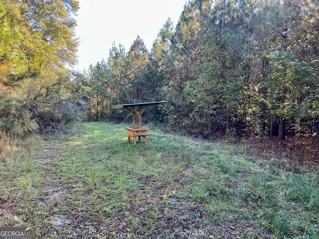 a view of a park with large trees