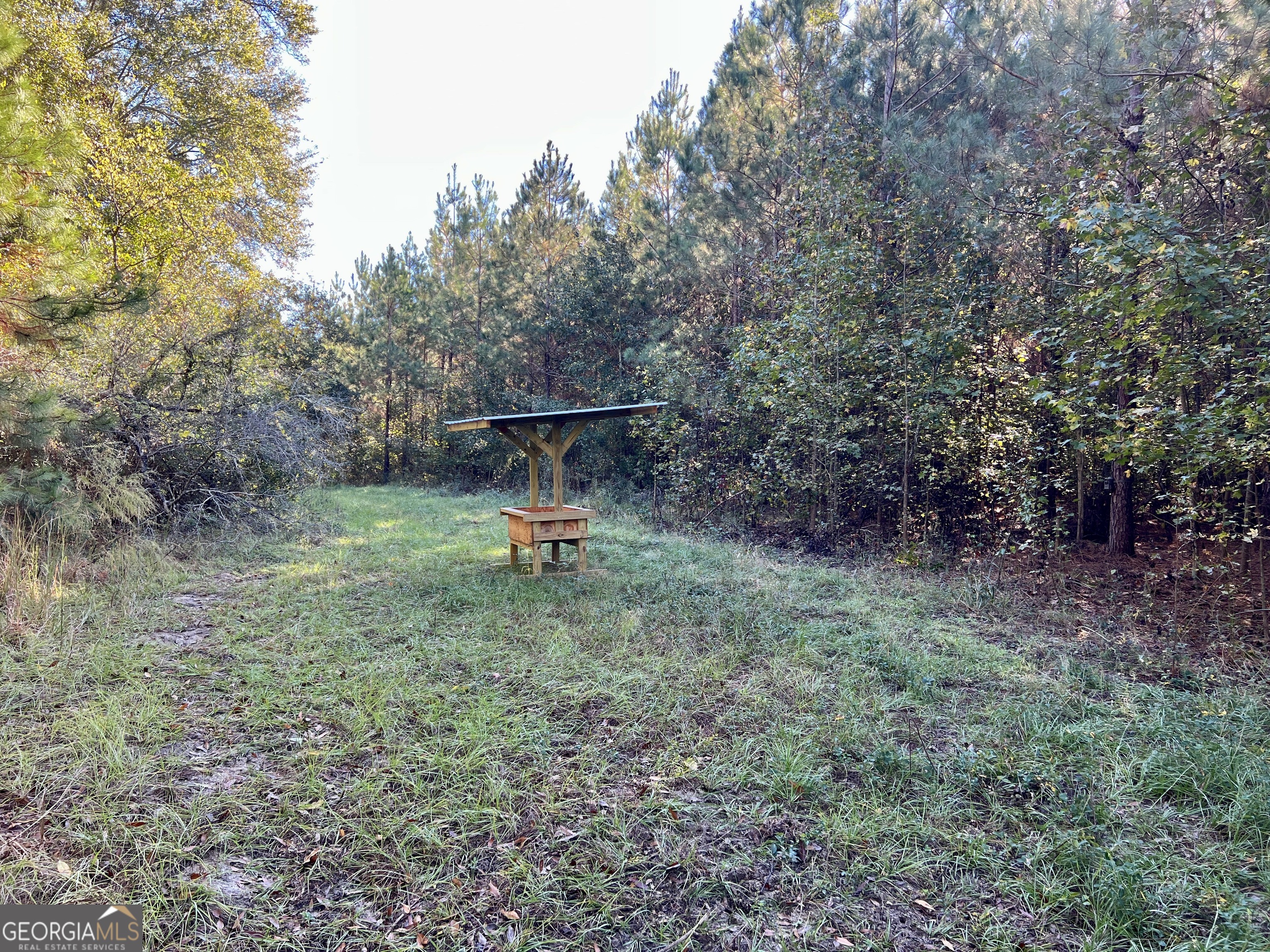 0 Barentine Road Rochelle, GA 31079 - Photo 32 of 46 a view of a park with large trees