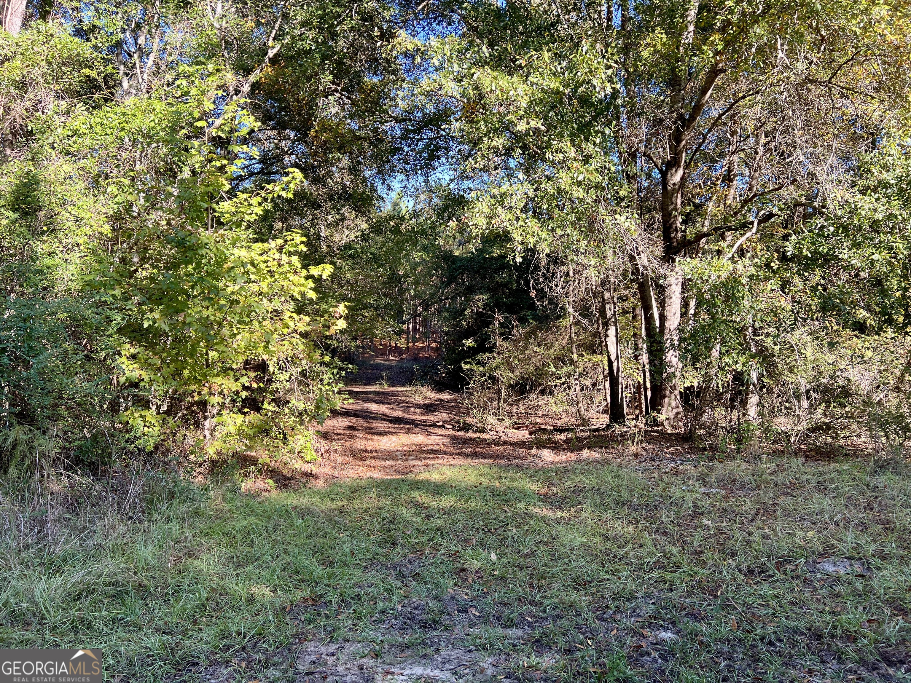 0 Barentine Road Rochelle, GA 31079 - Photo 34 of 46 a view of outdoor space and yard