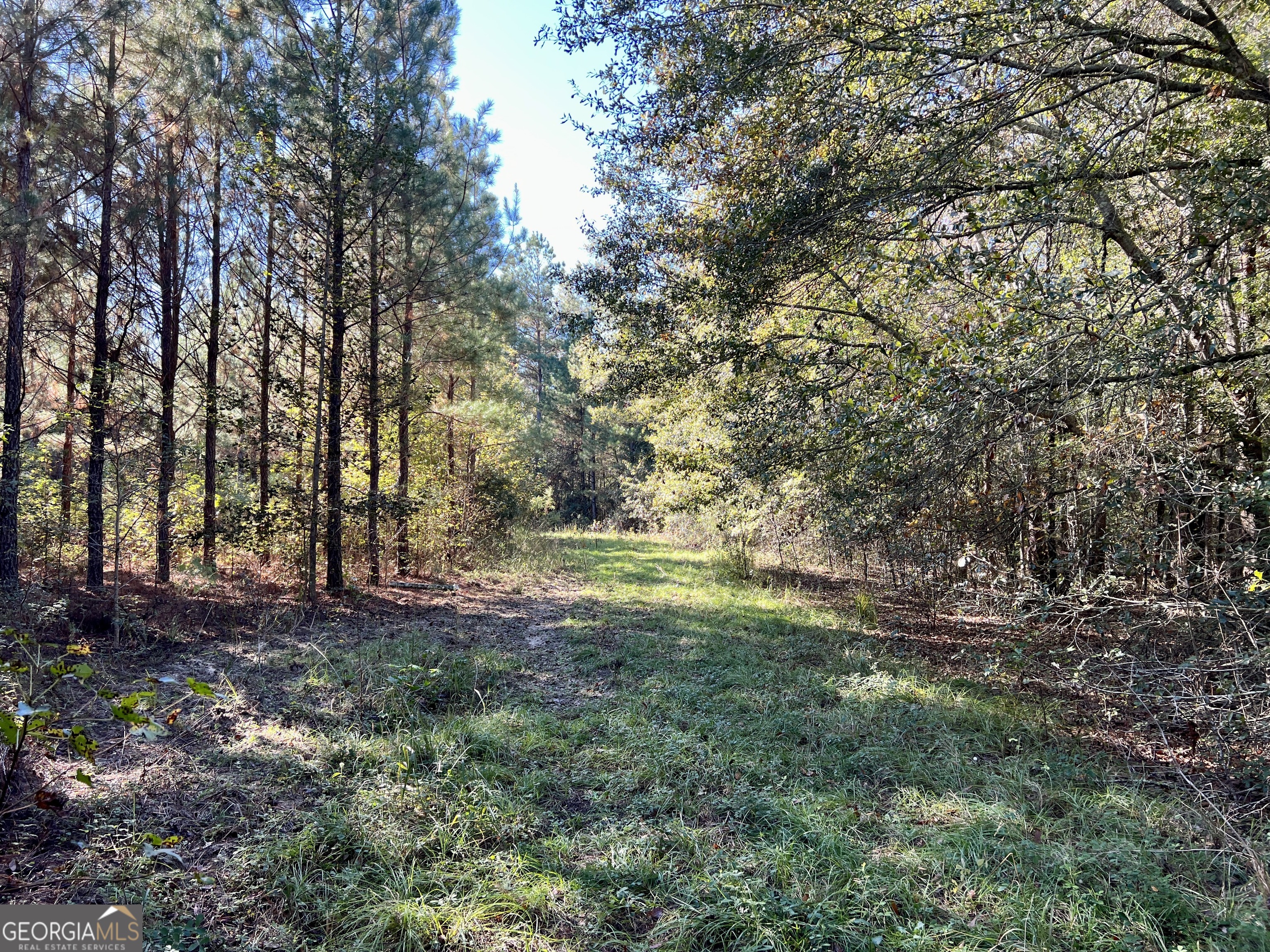 0 Barentine Road Rochelle, GA 31079 - Photo 35 of 46 a view of outdoor space and yard