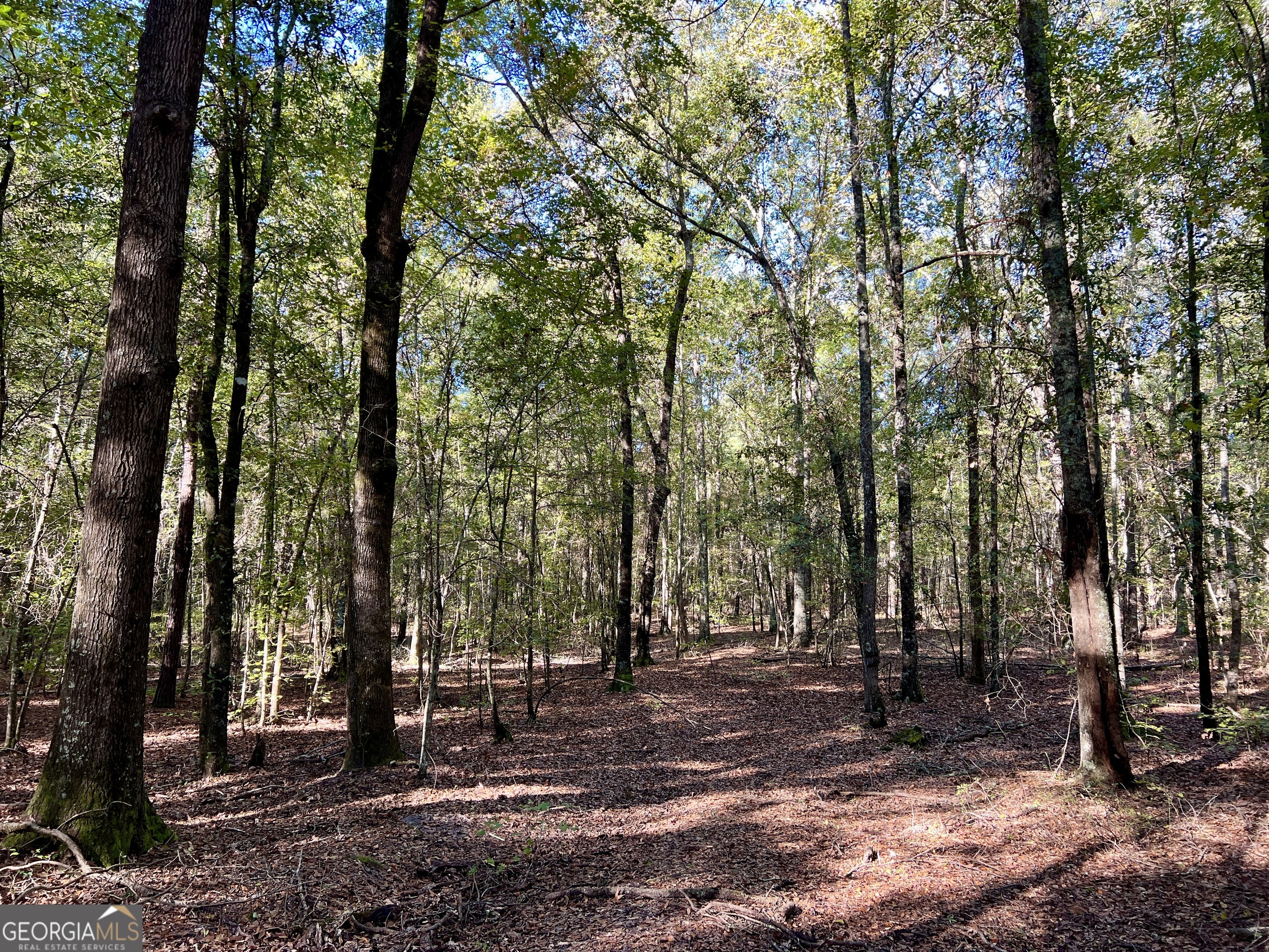 0 Barentine Road Rochelle, GA 31079 - Photo 37 of 46 a view of outdoor space with trees