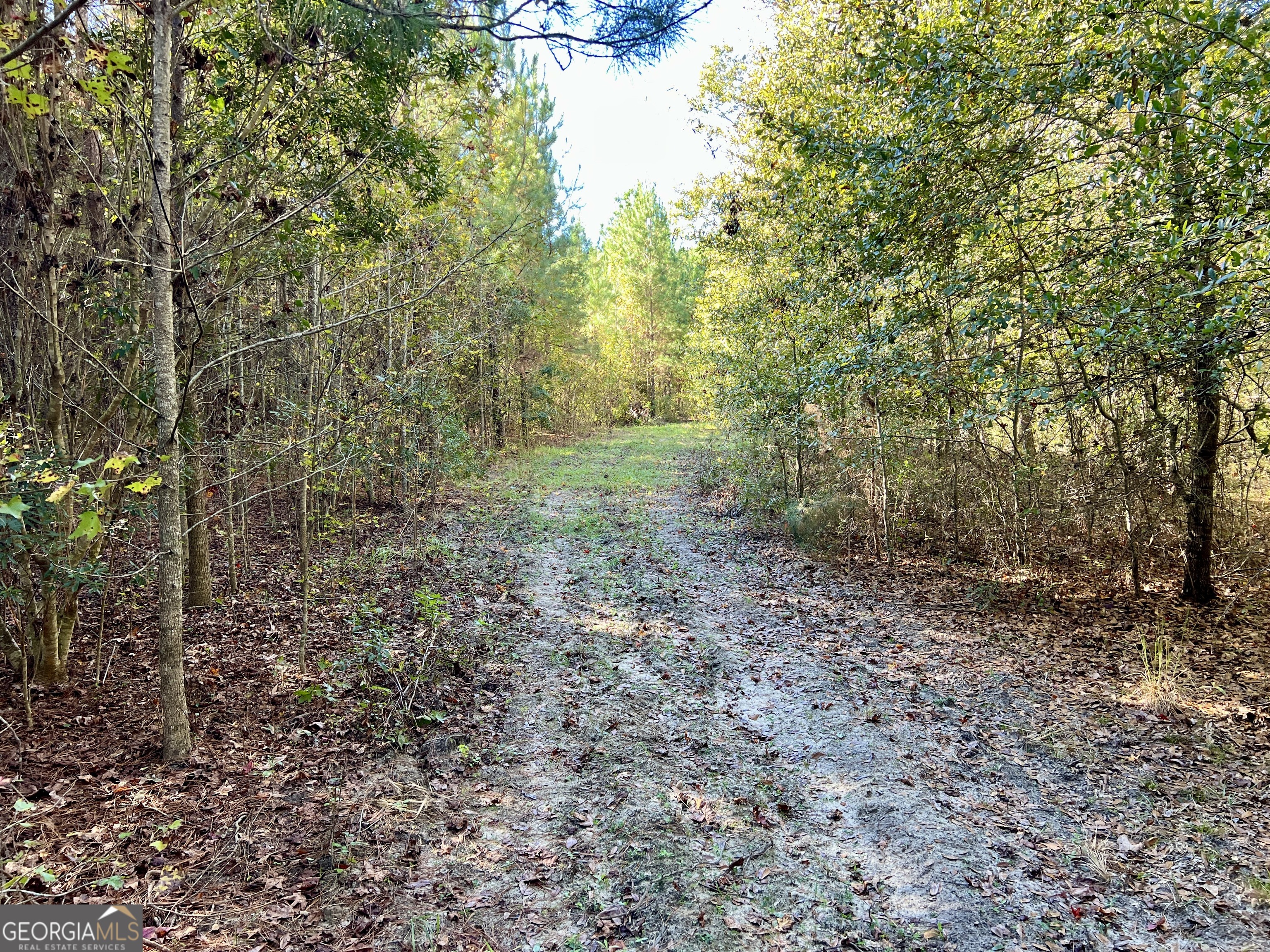 0 Barentine Road Rochelle, GA 31079 - Photo 39 of 46 a view of a yard with a tree