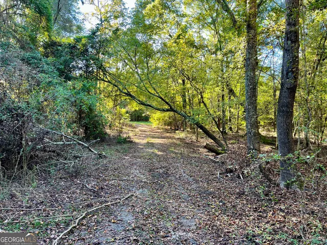 a view of dirt yard with a tree