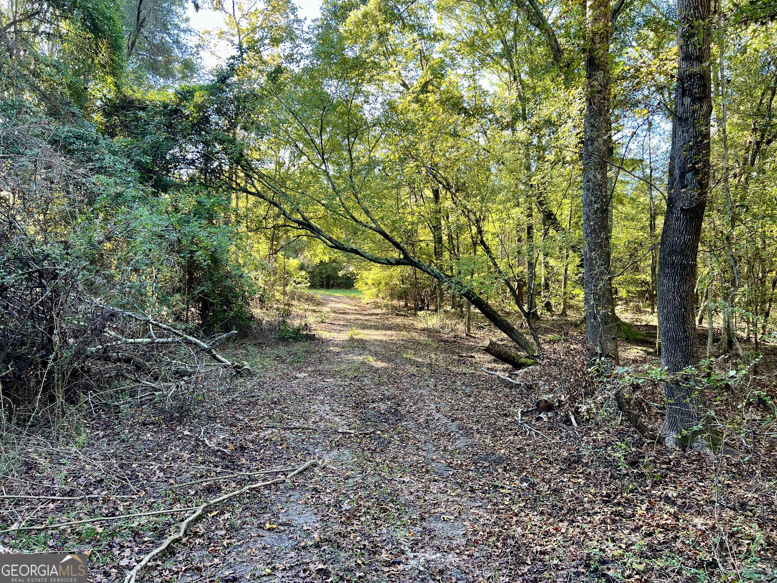 0 Barentine Road Rochelle, GA 31079 - Photo 4 of 46 a view of dirt yard with a tree