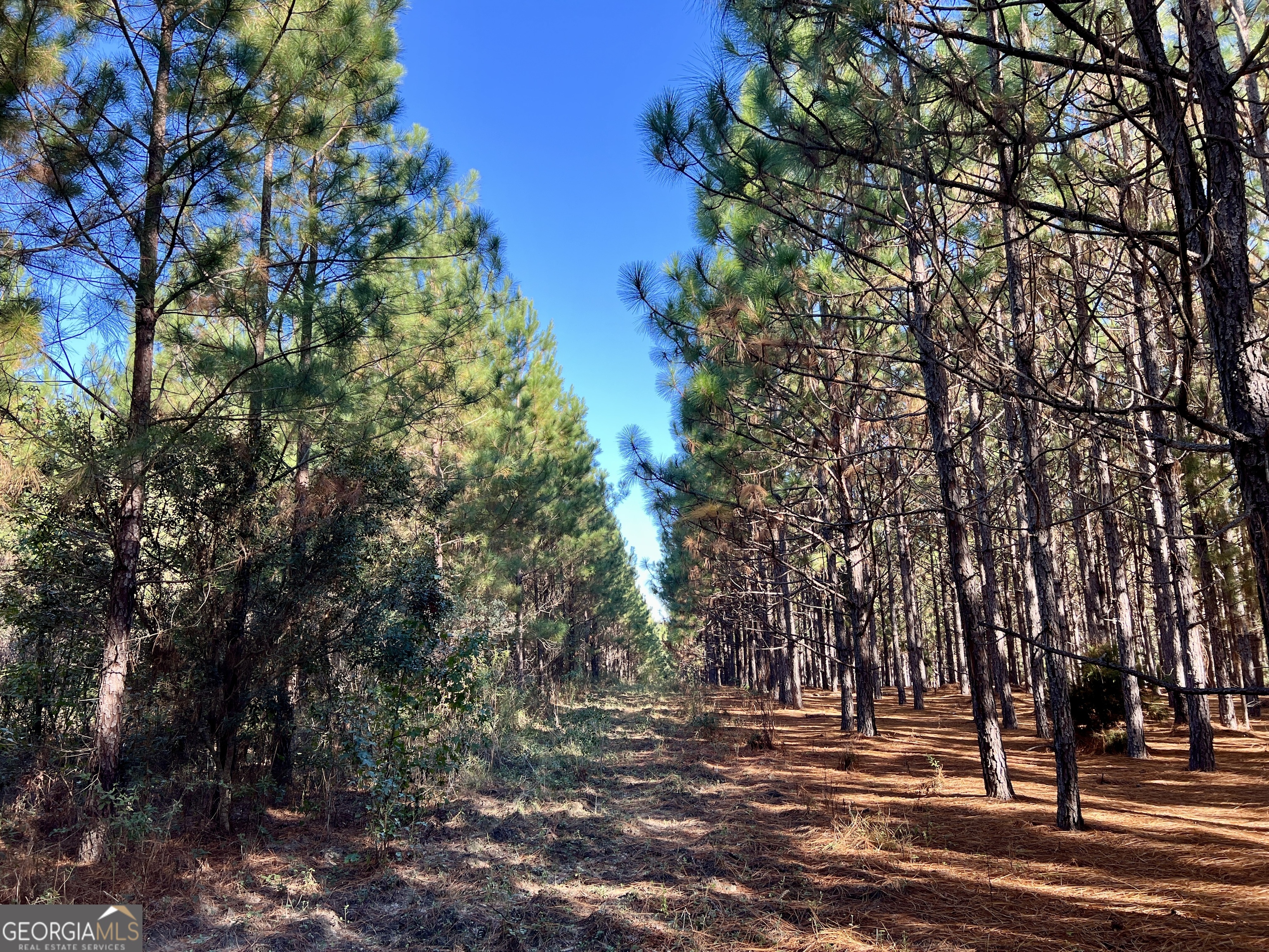 0 Barentine Road Rochelle, GA 31079 - Photo 41 of 46 a view of park