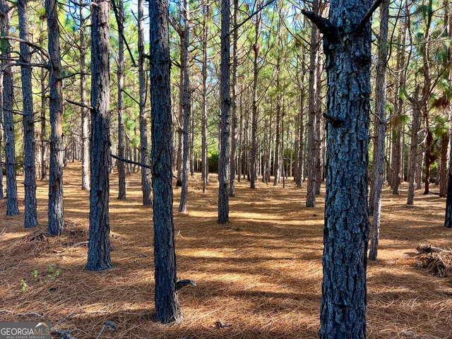 a view of street view