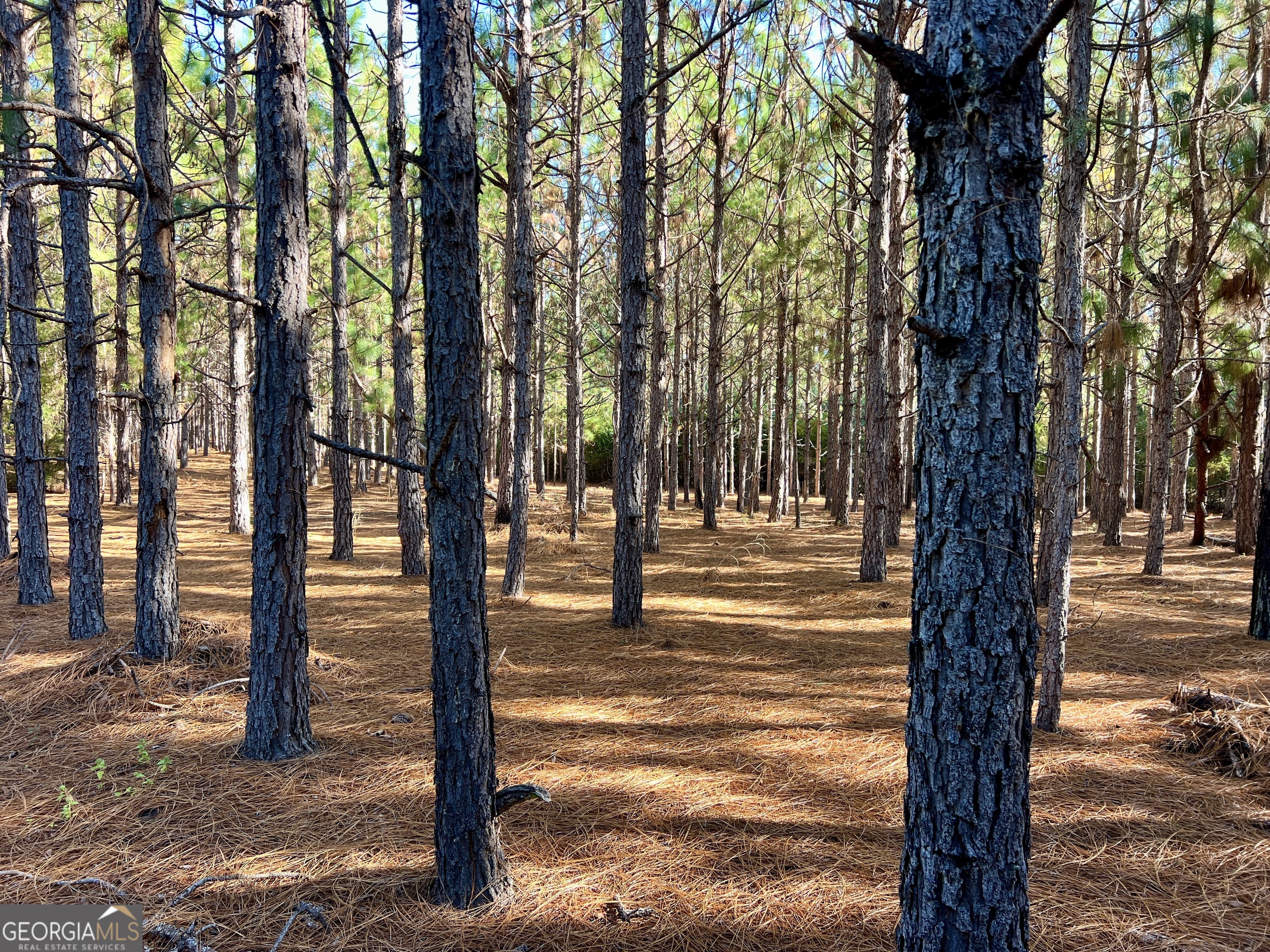 0 Barentine Road Rochelle, GA 31079 - Photo 44 of 46 a view of street view