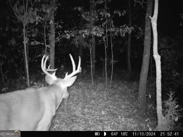 0 Barentine Road Rochelle, GA 31079 - Photo 46 of 46 a view of outdoor space with a sink and mirror