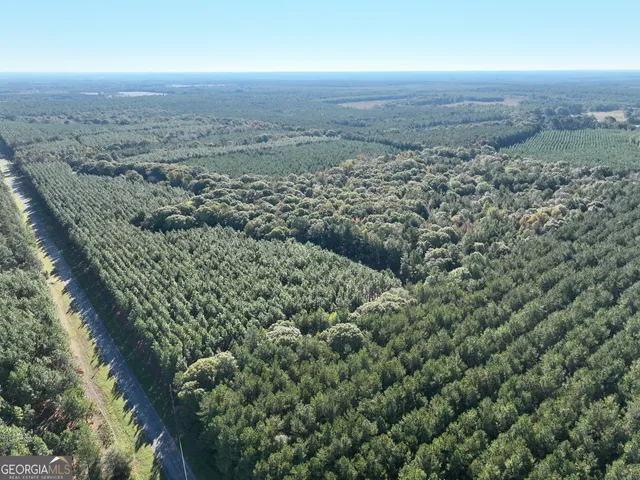 an aerial view of beach and yard
