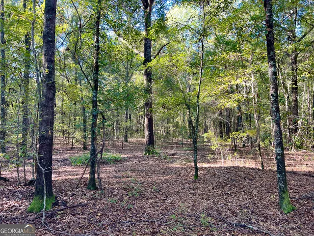 a view of outdoor space with tree