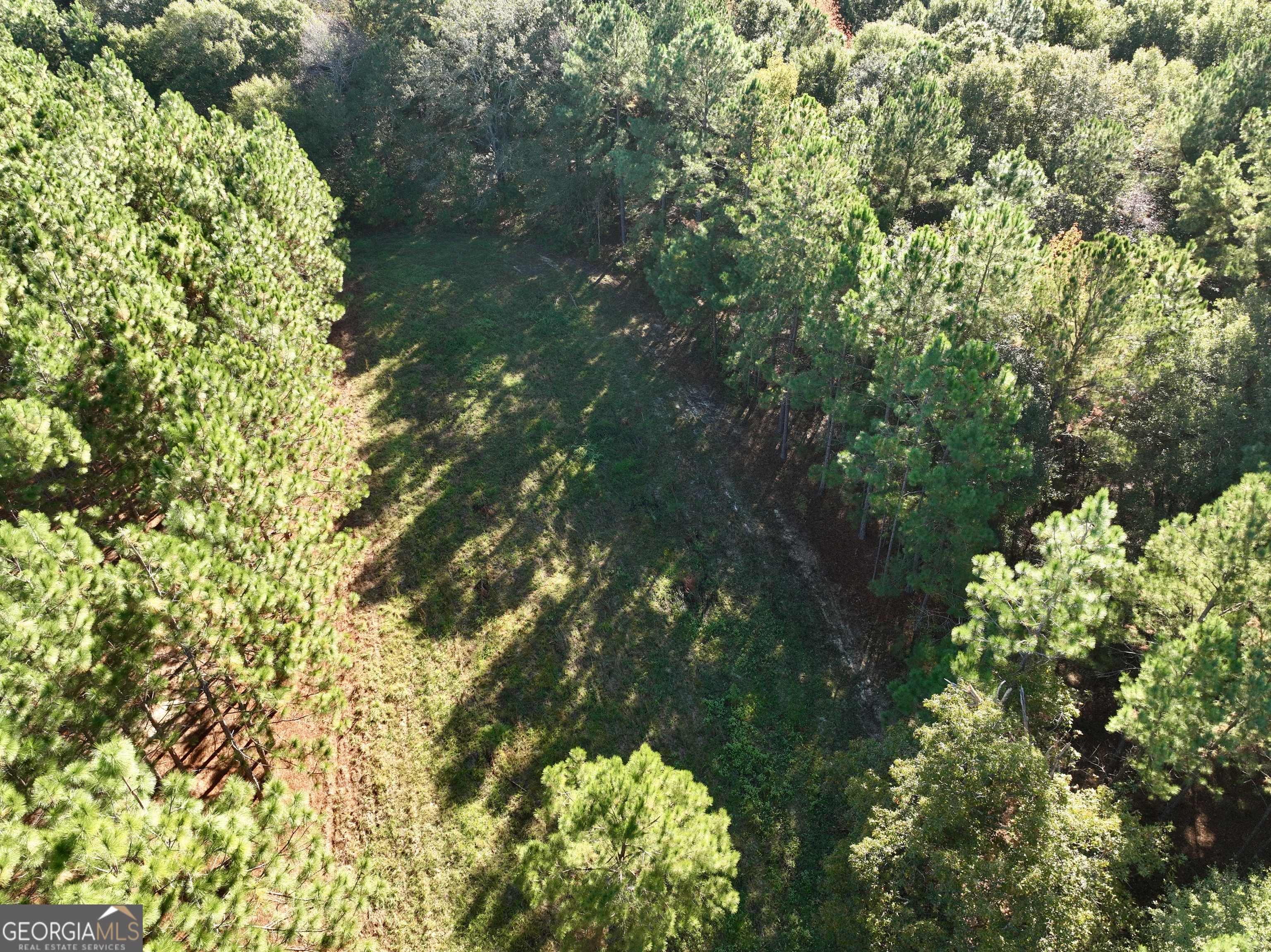 0 Barentine Road Rochelle, GA 31079 - Photo 10 of 46 a view of a tree