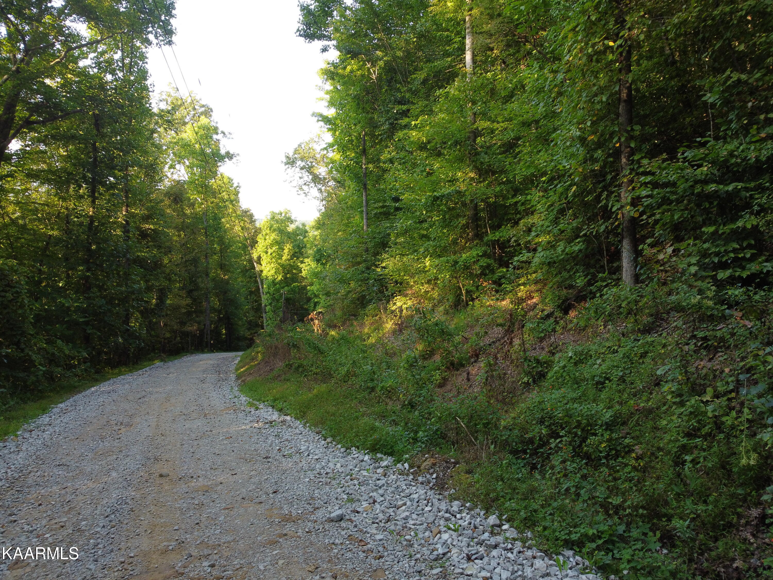 Capuchin Creek Road Newcomb, TN 37819 - Photo 11 of 13 DJI_0826