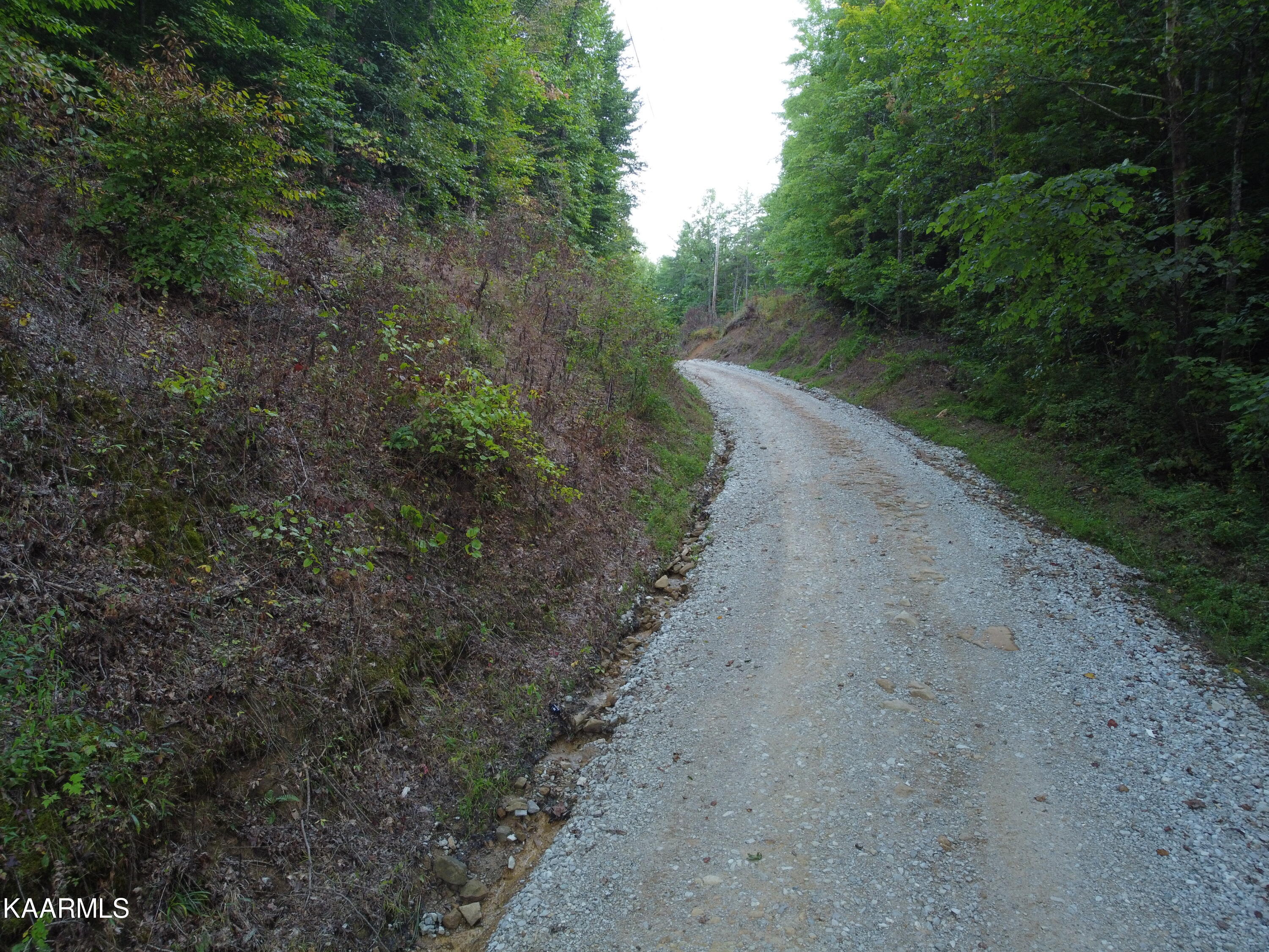 Capuchin Creek Road Newcomb, TN 37819 - Photo 12 of 13 DJI_0827