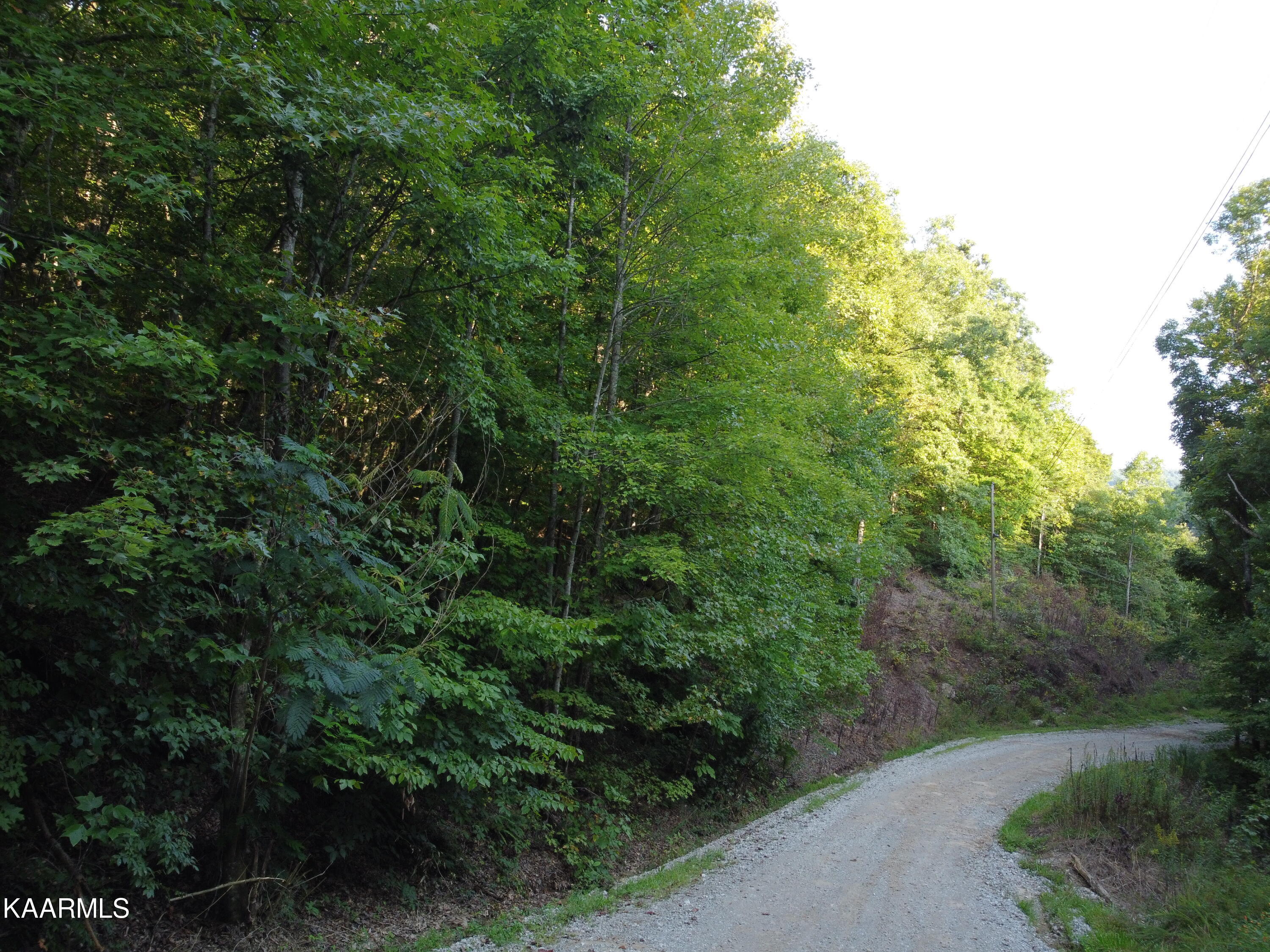 Capuchin Creek Road Newcomb, TN 37819 - Photo 13 of 13 DJI_0798