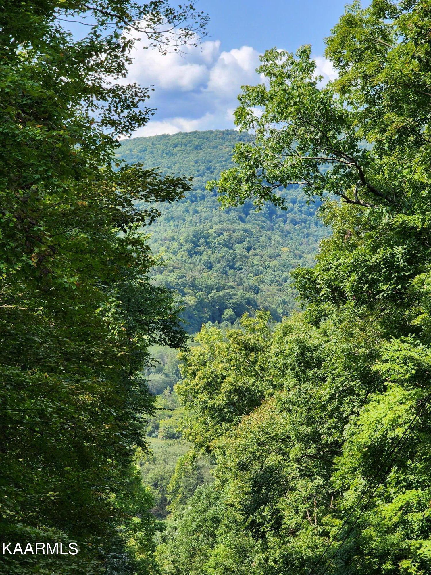Capuchin Creek Road Newcomb, TN 37819 - Photo 2 of 13 20220916_145758