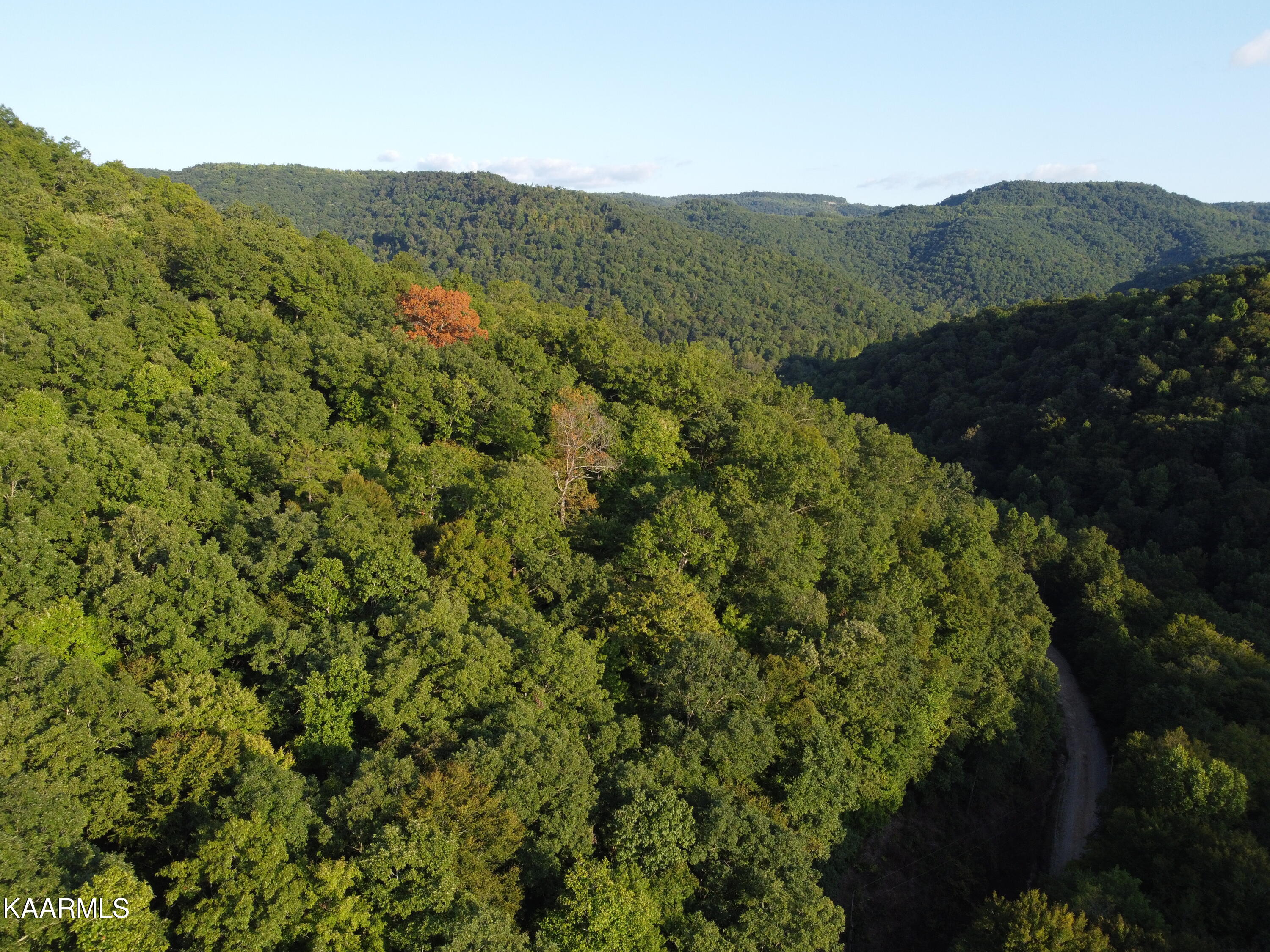 Capuchin Creek Road Newcomb, TN 37819 - Photo 3 of 13 DJI_0799