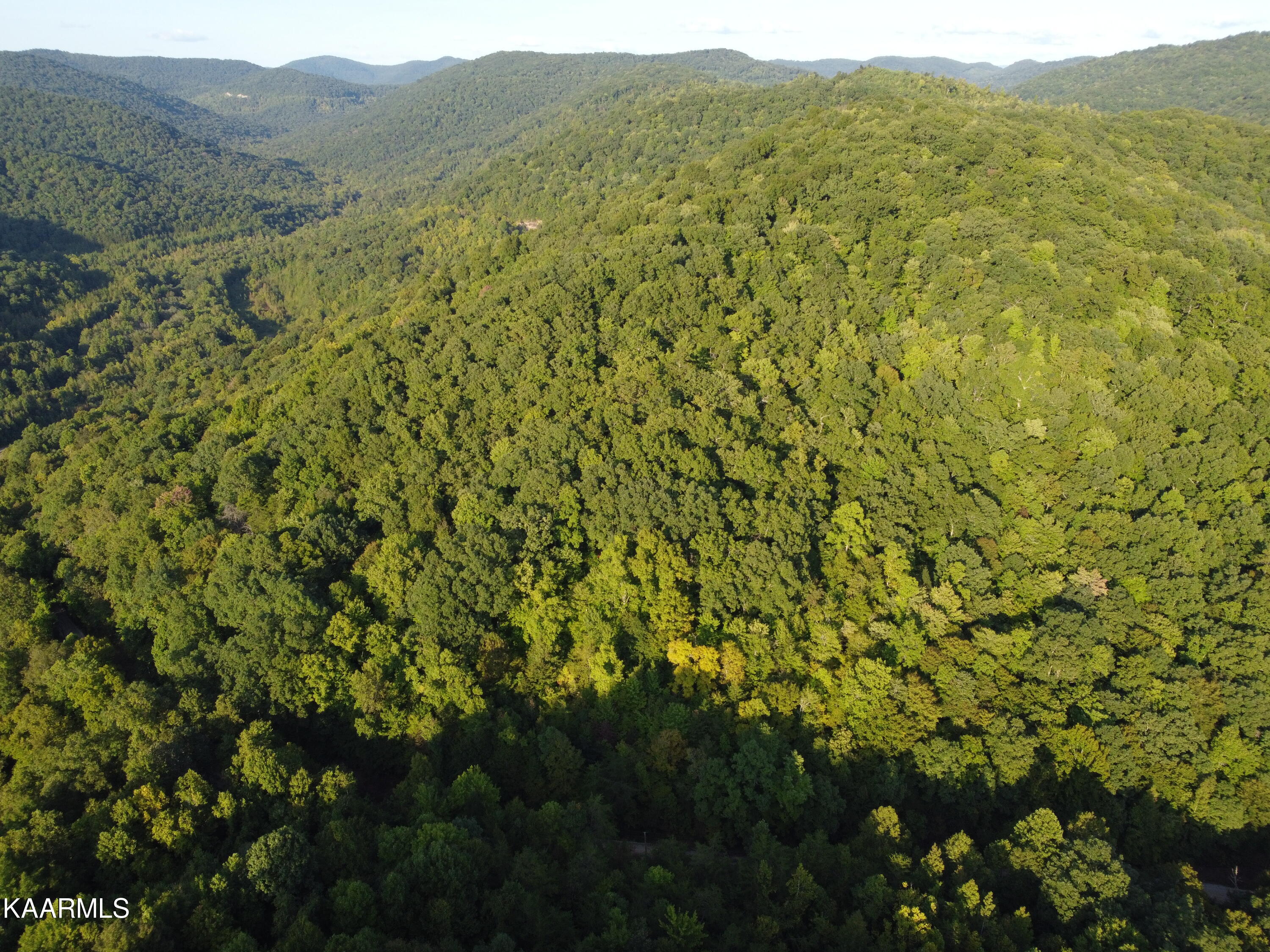 Capuchin Creek Road Newcomb, TN 37819 - Photo 4 of 13 DJI_0800