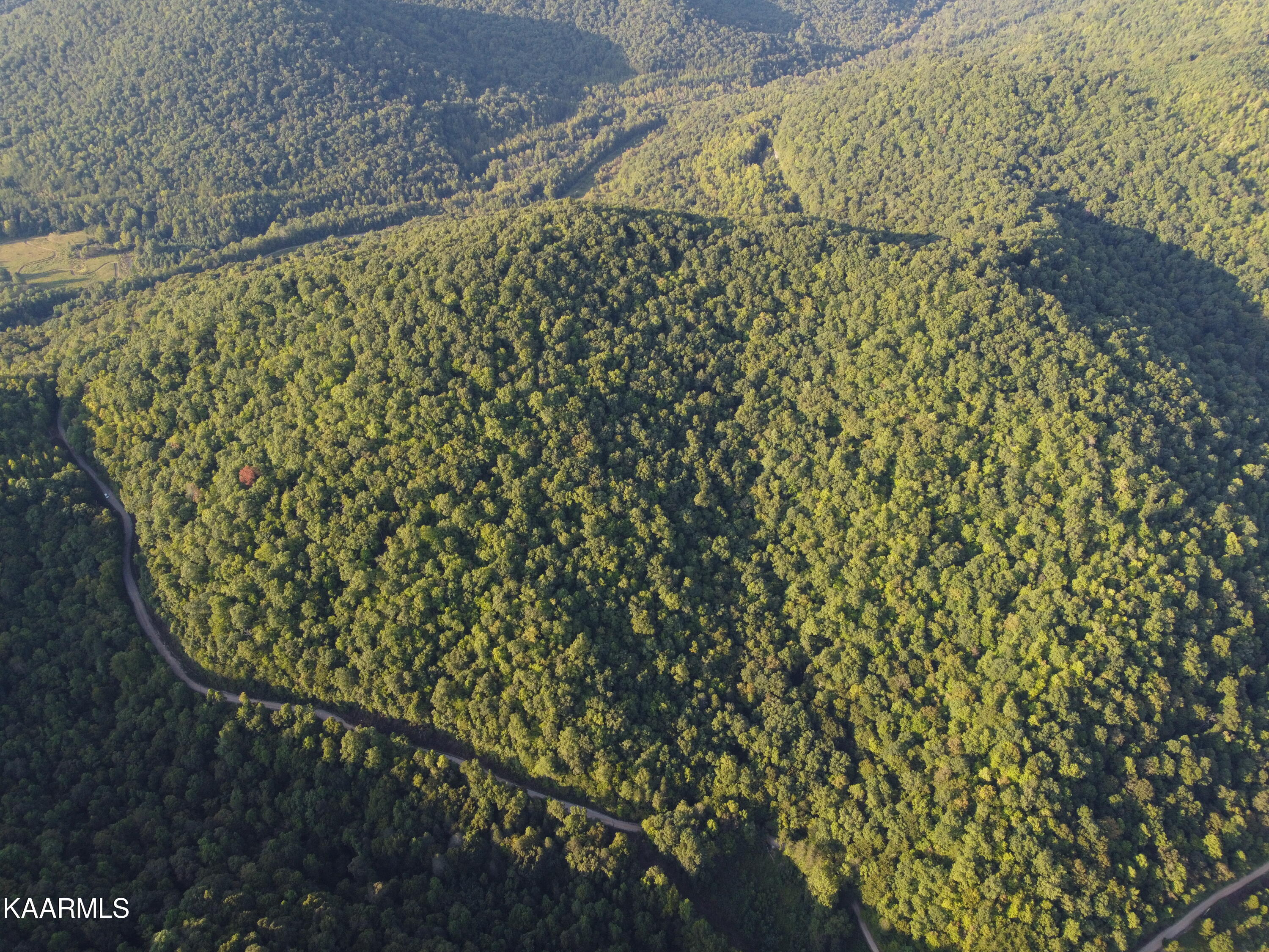 Capuchin Creek Road Newcomb, TN 37819 - Photo 5 of 13 DJI_0806