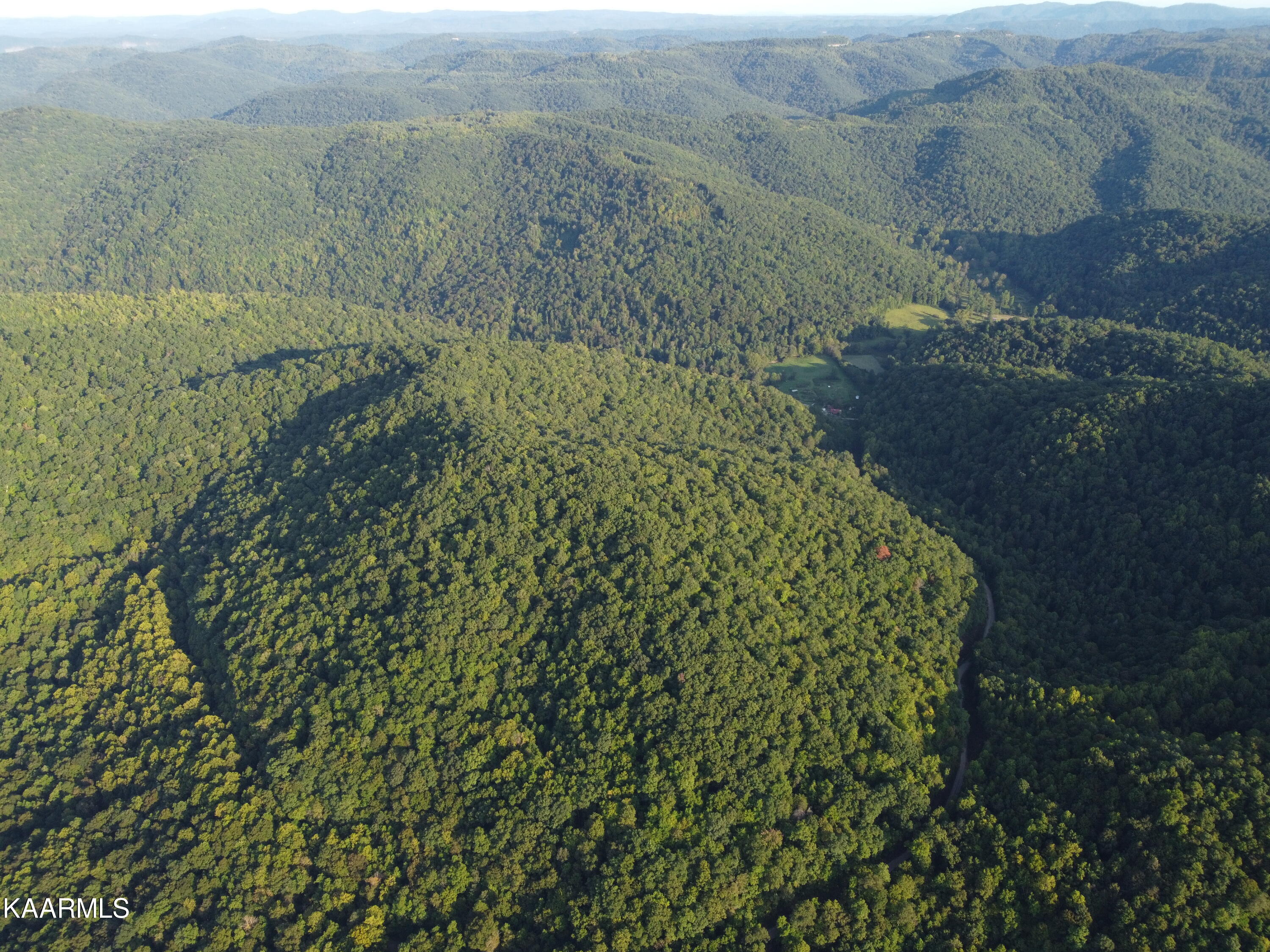 Capuchin Creek Road Newcomb, TN 37819 - Photo 7 of 13 DJI_0812