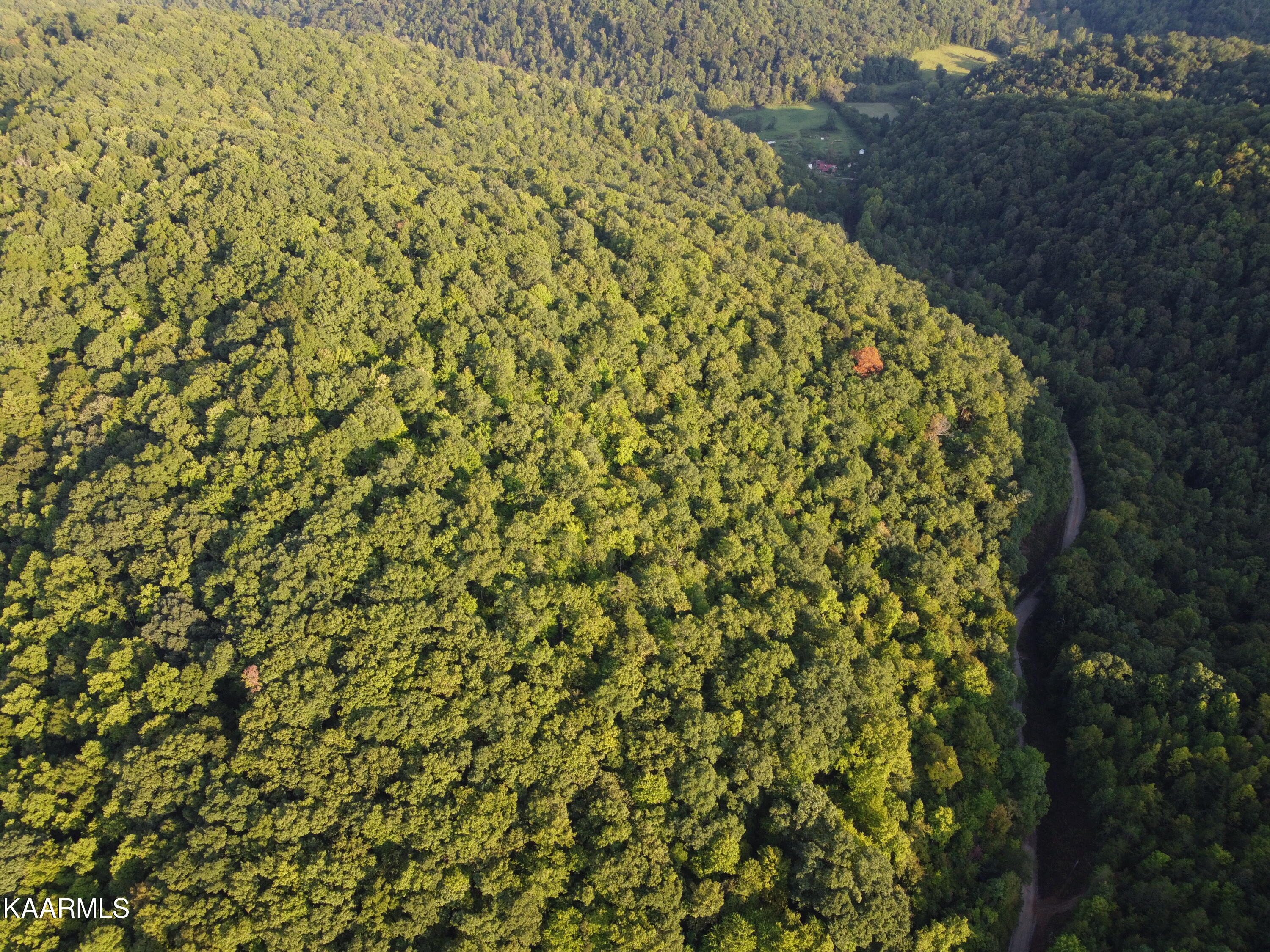 Capuchin Creek Road Newcomb, TN 37819 - Photo 8 of 13 DJI_0821