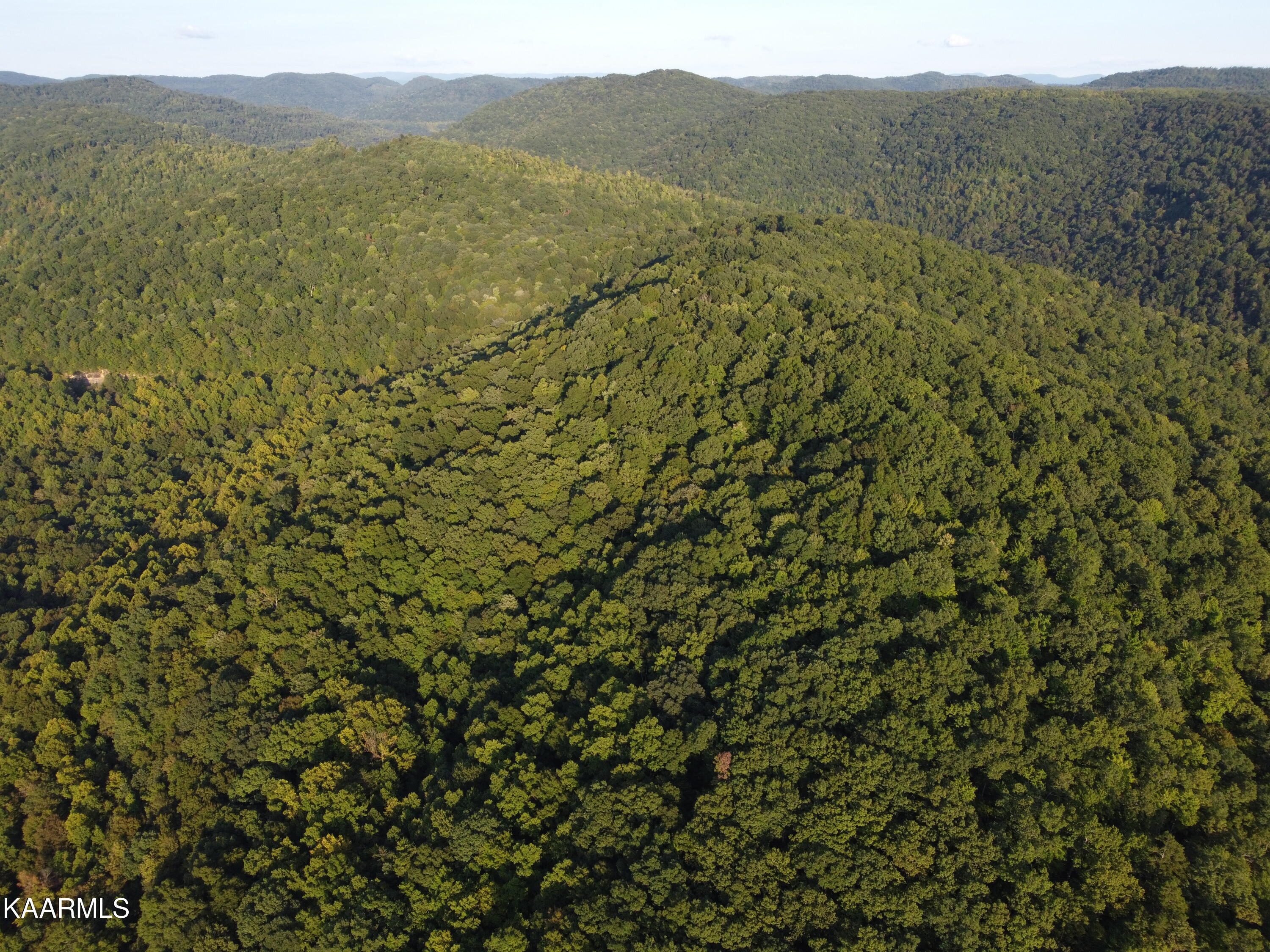 Capuchin Creek Road Newcomb, TN 37819 - Photo 9 of 13 DJI_0823