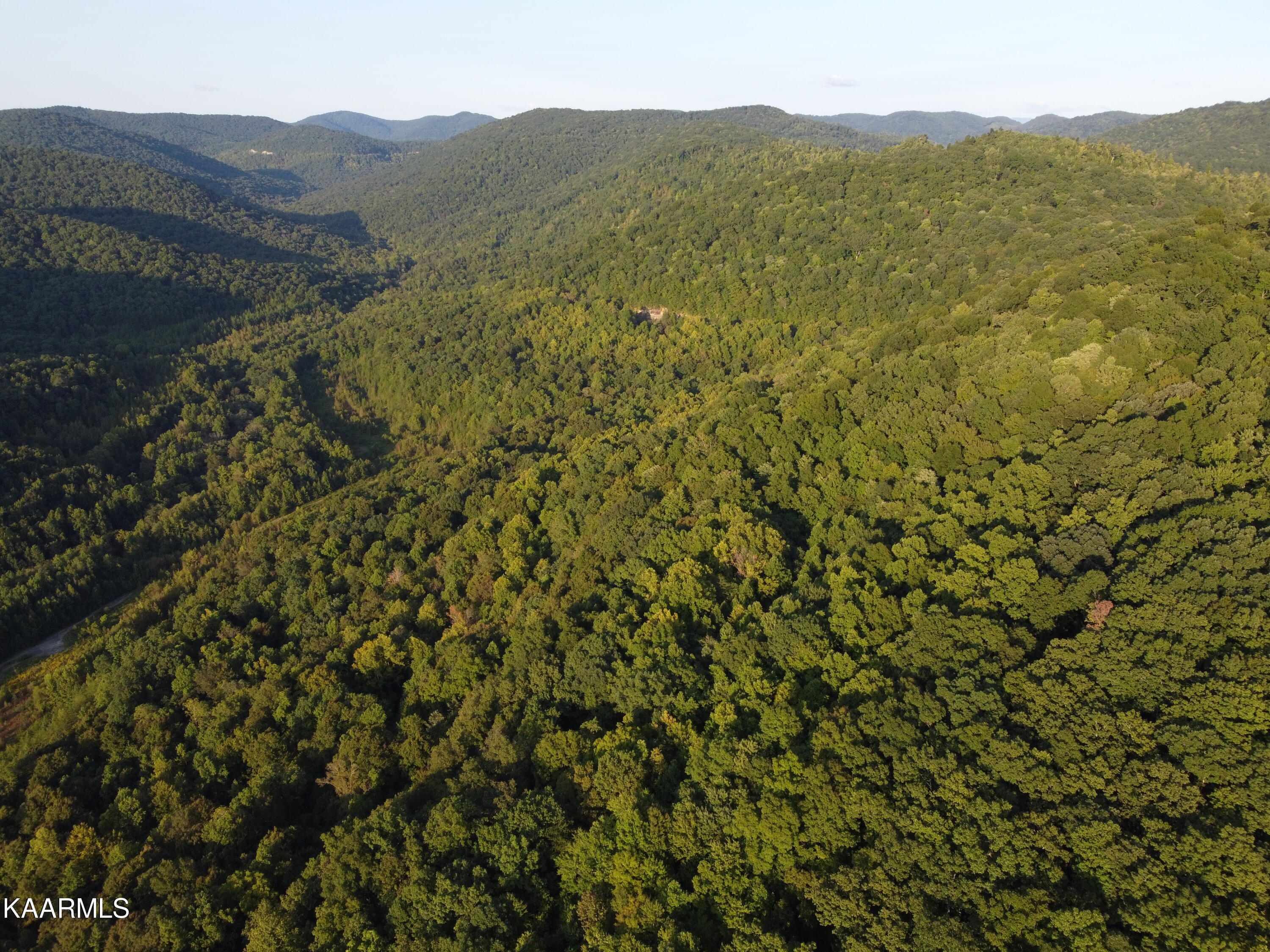 Capuchin Creek Road Newcomb, TN 37819 - Photo 10 of 13 DJI_0825