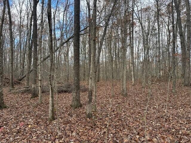 12 Prater Road Pikeville, TN 37367 - Photo 8 of 19 Gallery Image 8