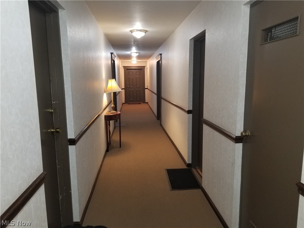 20301 Shelburne Road, Unit 7B Cleveland, OH 44118 - Photo 18 of 21 Well kept common halls.