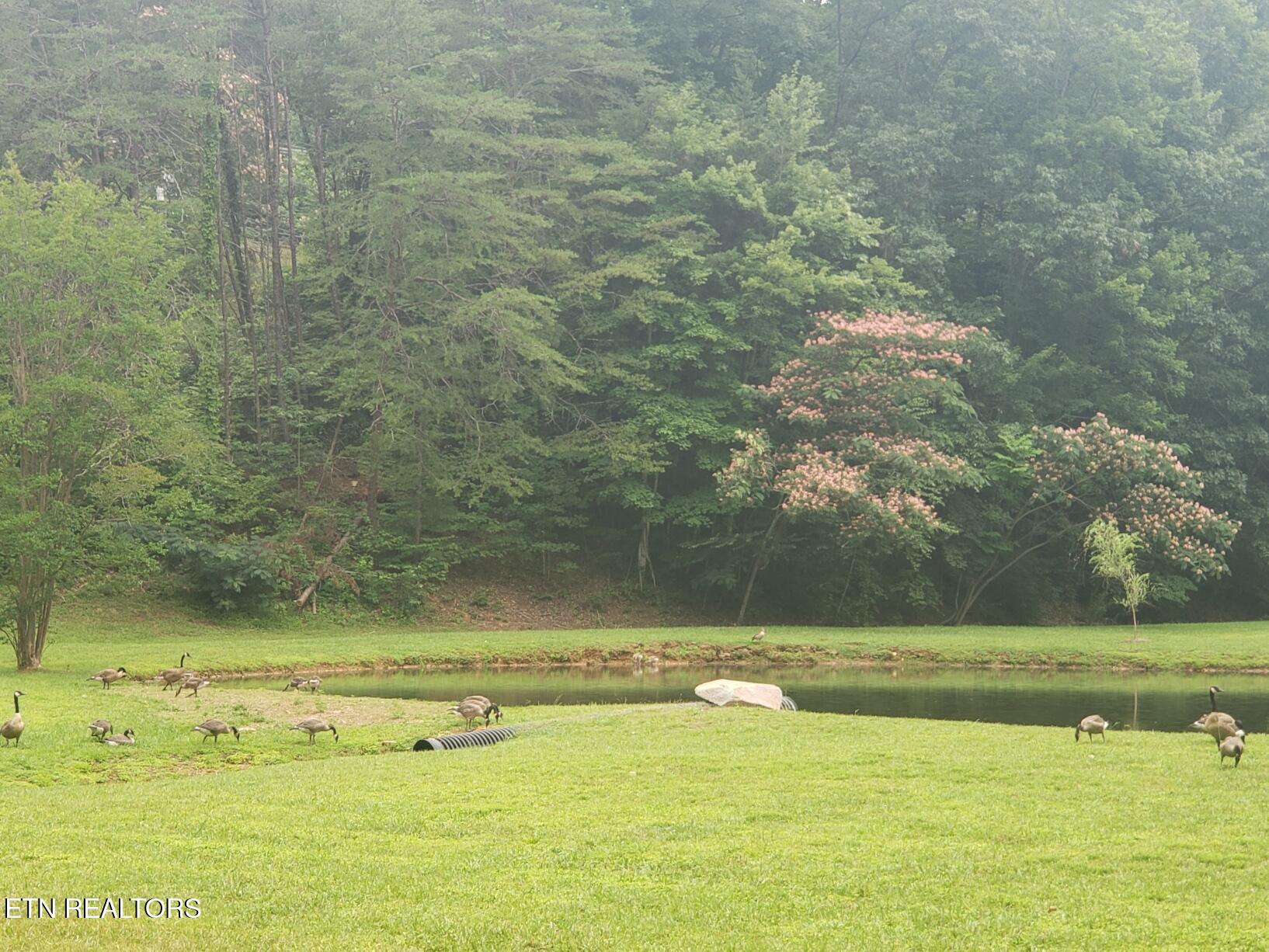 1110 South Spring Hollow Road Sevierville, TN 37876 - Photo 12 of 45 20220629_073027