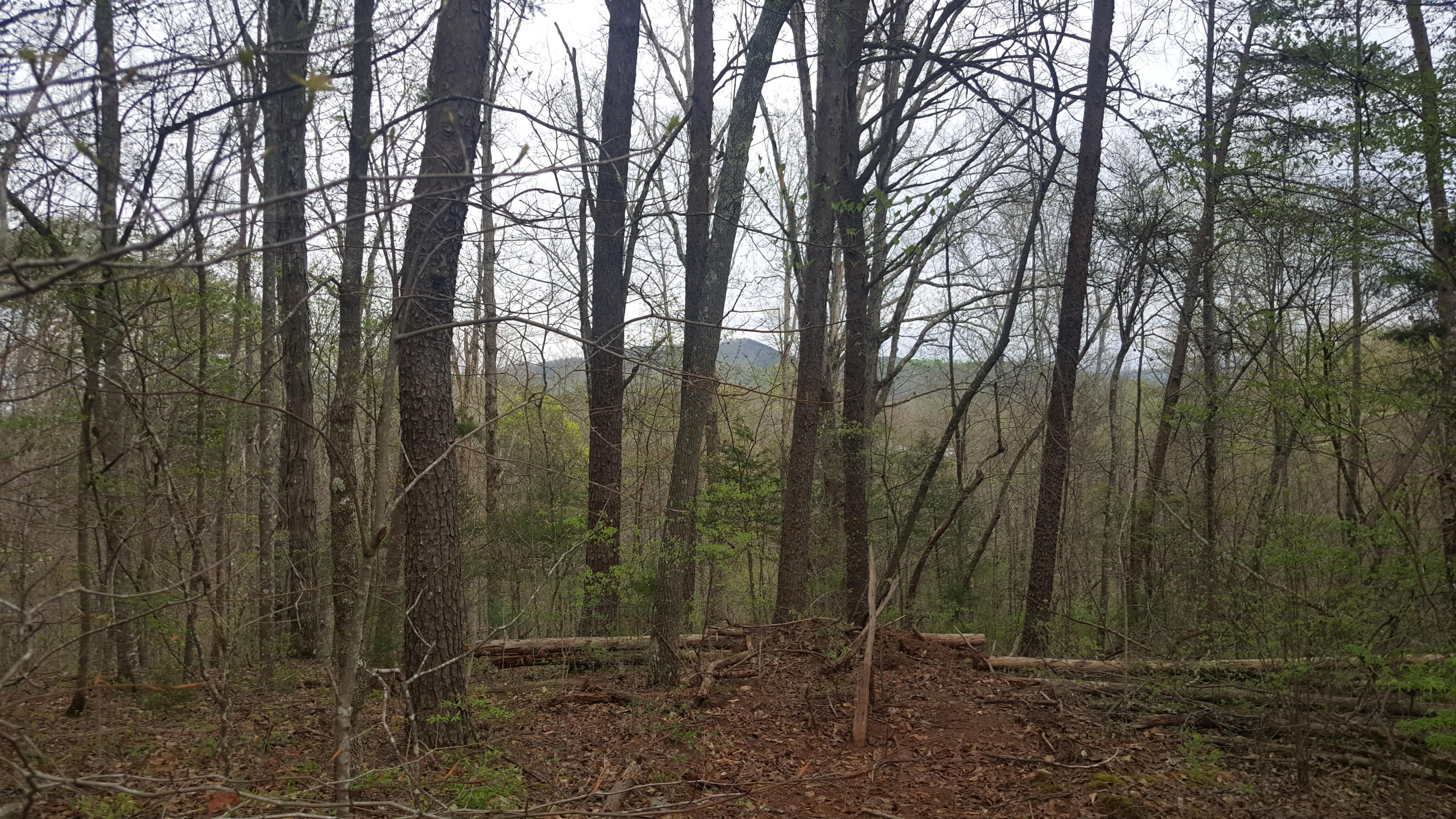 2434 Fairview Road Madisonville, TN 37354 - Photo 33 of 40 20210409_172625