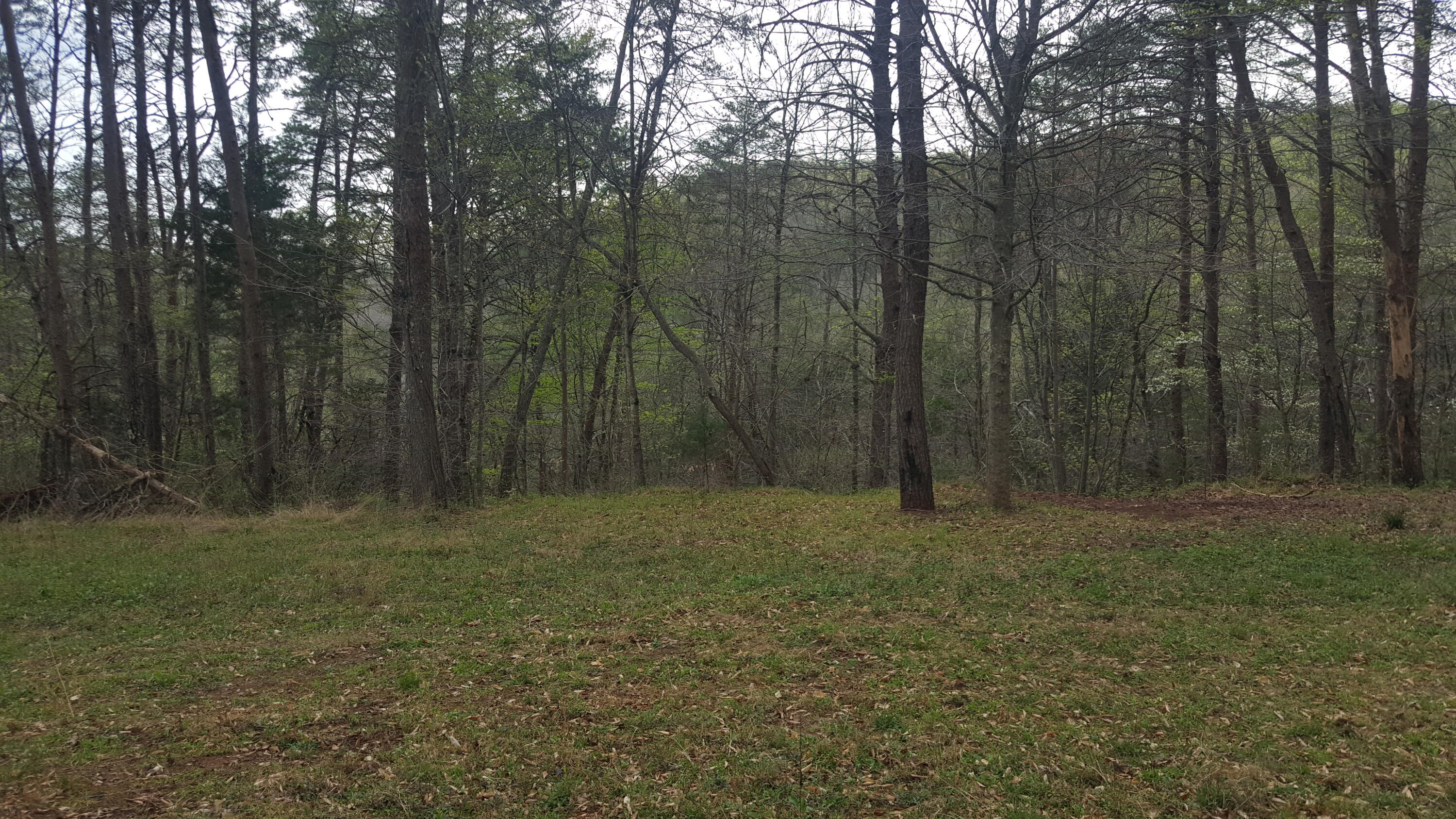 2434 Fairview Road Madisonville, TN 37354 - Photo 35 of 40 20210409_172644