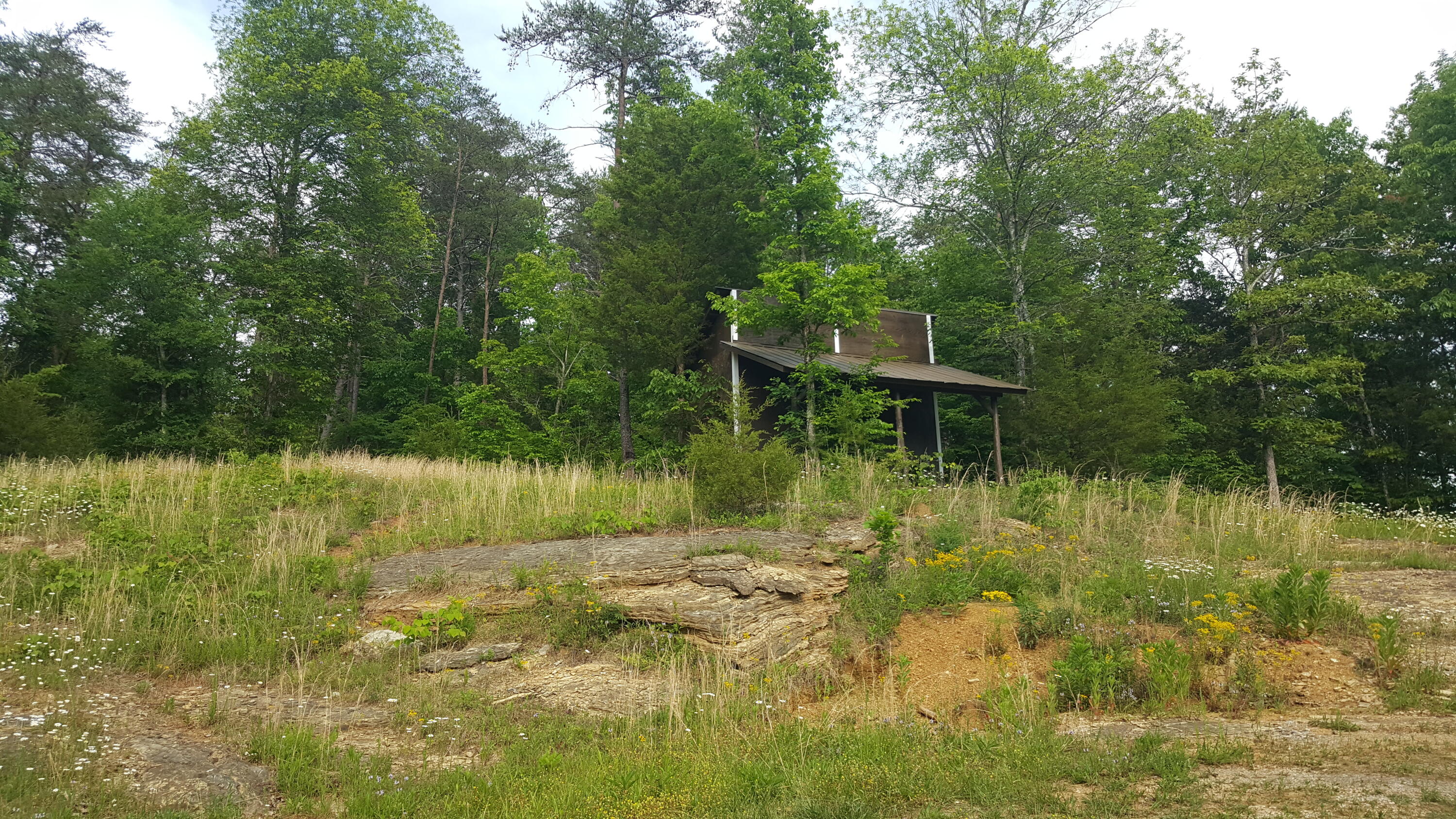 2434 Fairview Road Madisonville, TN 37354 - Photo 37 of 40 20210524_174254