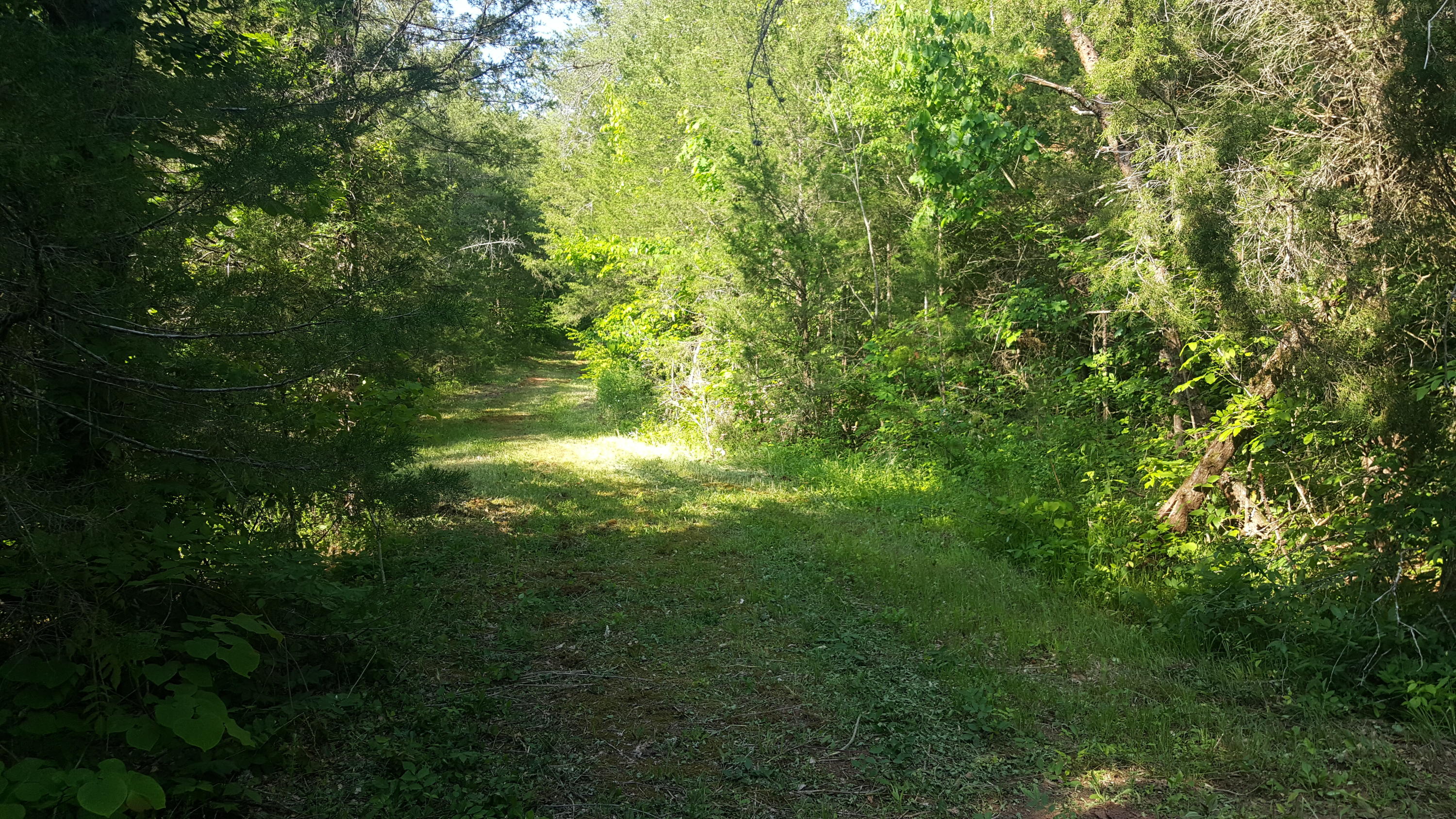 2434 Fairview Road Madisonville, TN 37354 - Photo 40 of 40 20210526_175538