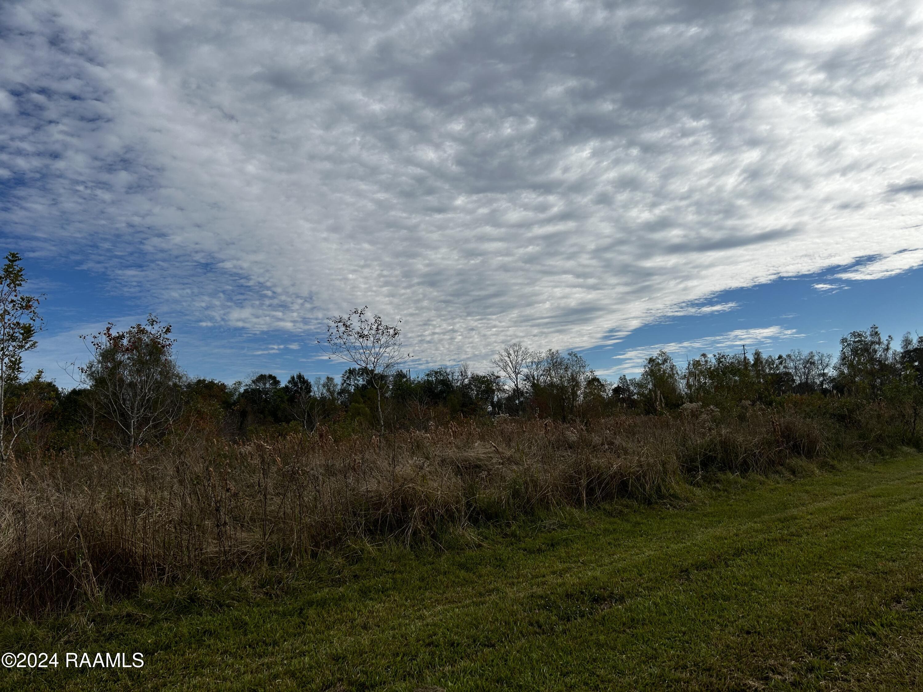 Tbd Chawee Road Breaux Bridge, LA 70517 - Photo 1 of 4 IMG_3195